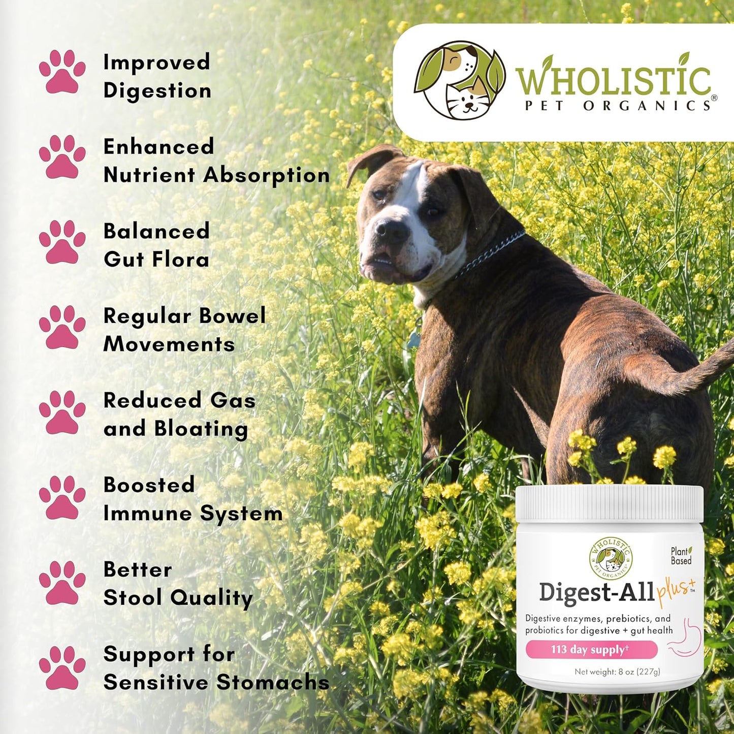 8 Oz Wholistic Pet Organics Digest-All Plus Probiotics for Dogs and Cats - Enzymes for Digestive Health - Homemade Food Supplement Powder