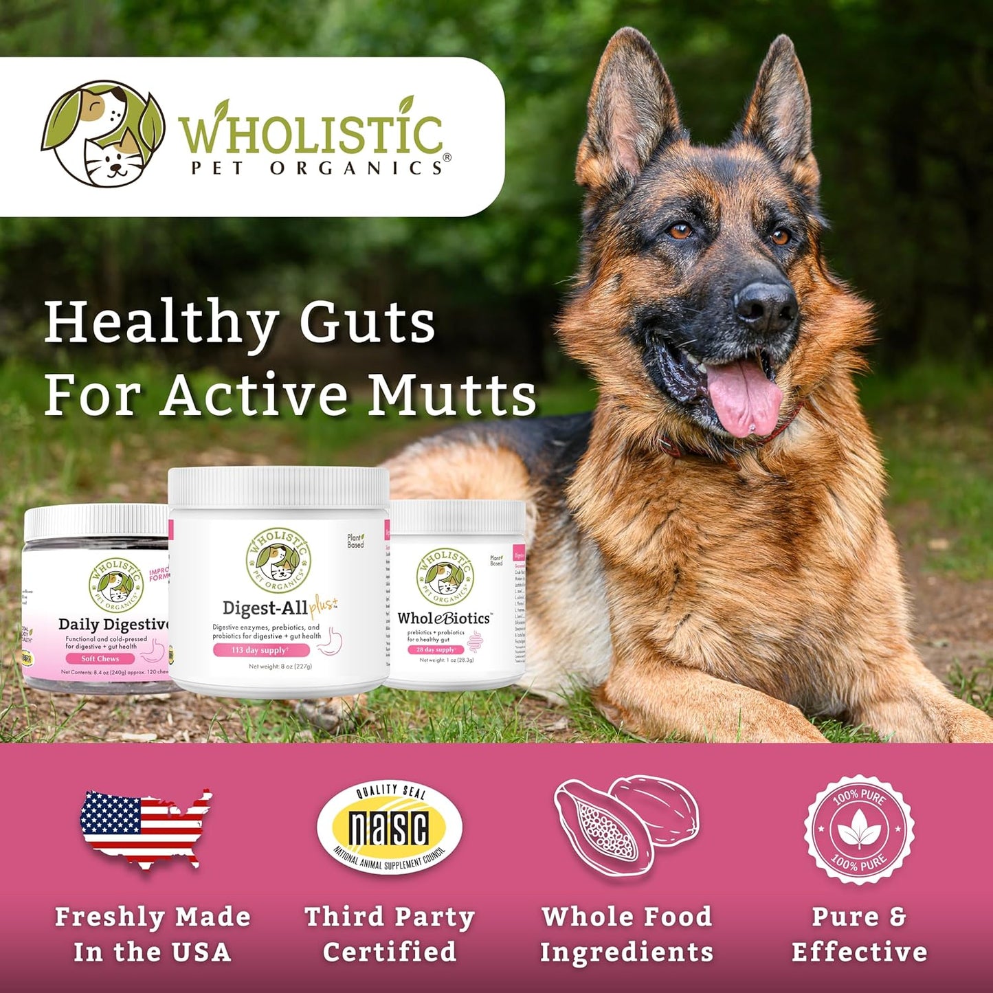 8 Oz Wholistic Pet Organics Digest-All Plus Probiotics for Dogs and Cats - Enzymes for Digestive Health - Homemade Food Supplement Powder