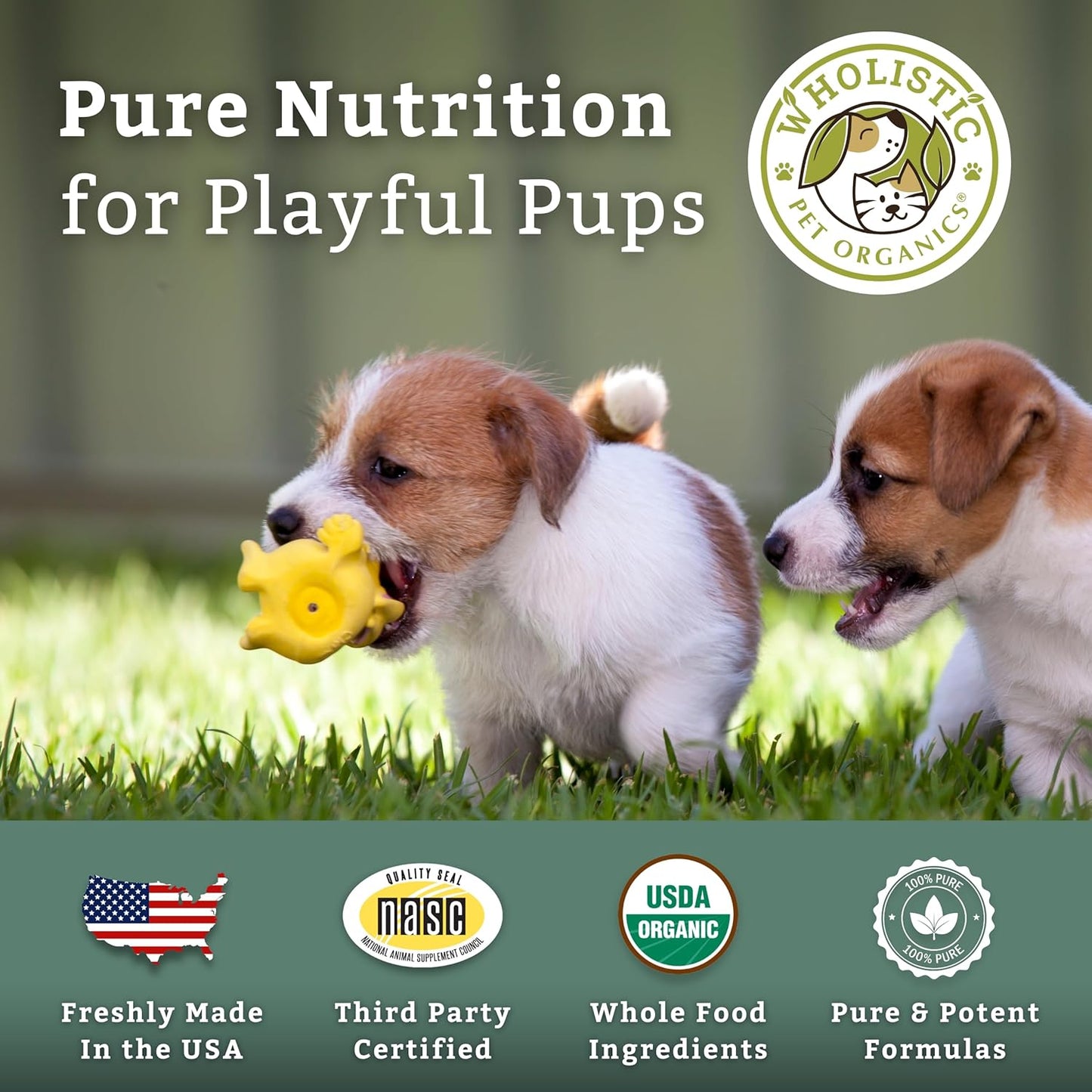 8 Oz Wholistic Pet Organics Puppy Vitamins - Skin and Coat Support Powder for Dogs - Omega 3 Supplement for Dog Itching Relief