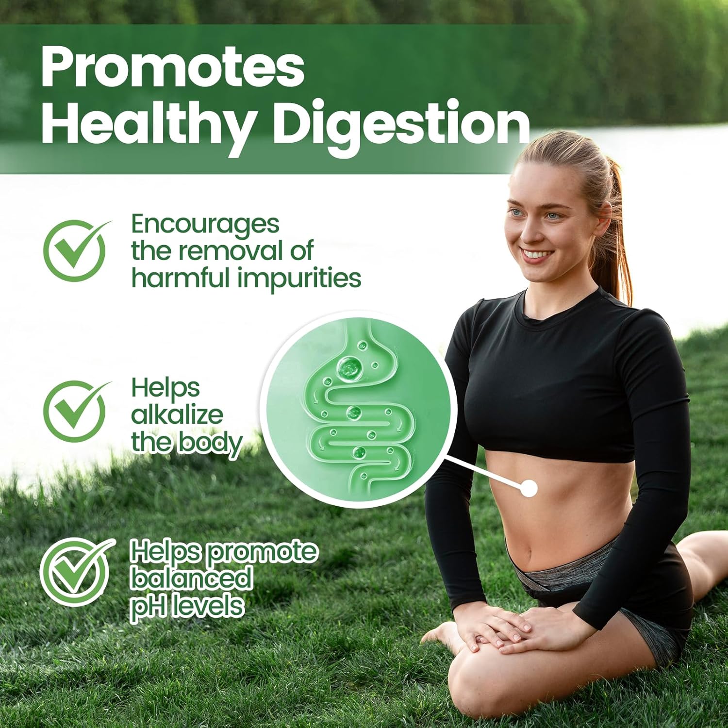 800mg Natural Chlorophyll Capsules for Energy, Immunity, Skin Support - Safe Supplement for Women & Men - Internal Deodorant - 120 Capsules (2 Bottles)