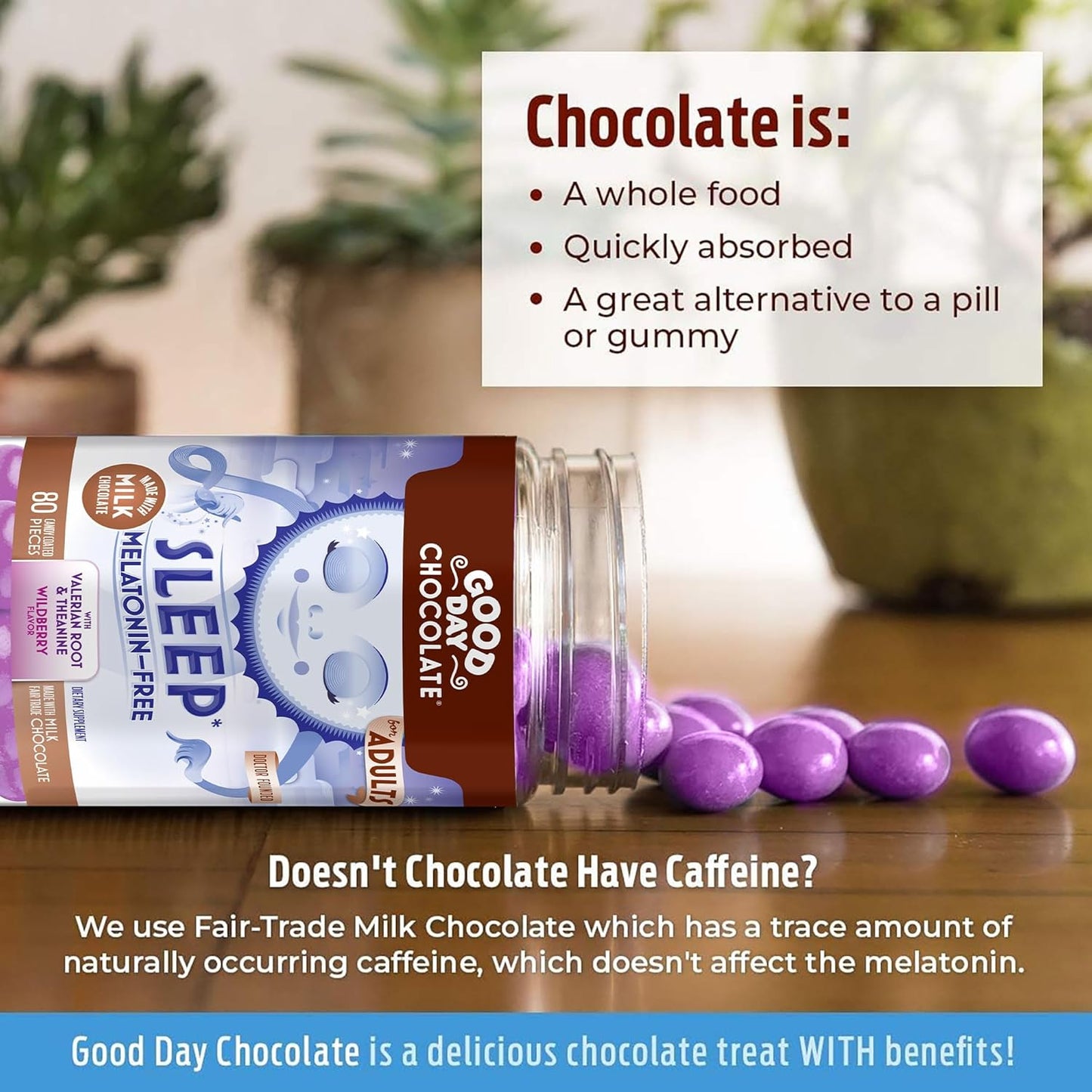 80ct Good Day Chocolate Milk Chocolate Valerian Root Sleep Supplement
