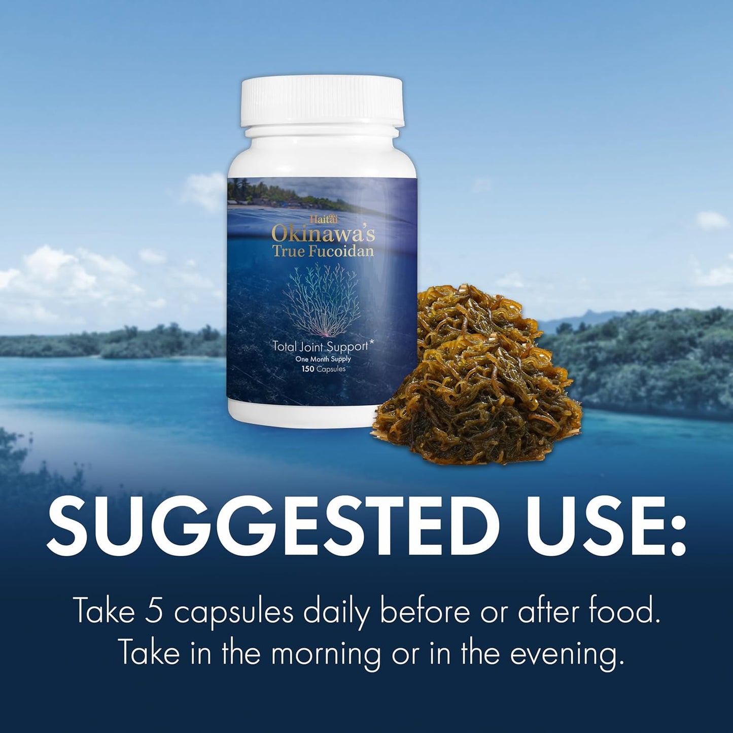85%+ Pure Fucoidan Supplement from Okinawa's Blue Zone - Lab Tested, Non-GMO, Gluten Free - 30 Day Supply
