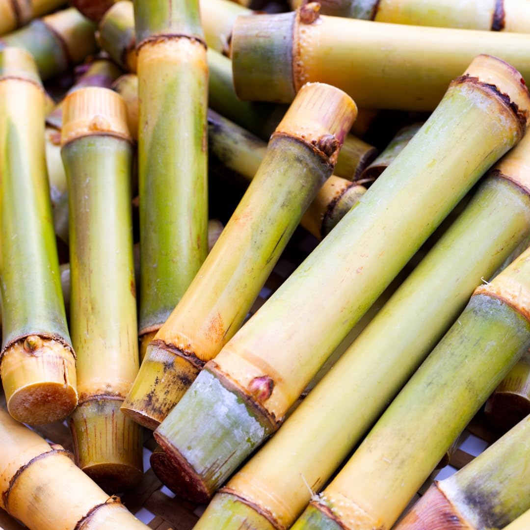 8oz Bamboo Extract Supplement - Pure Original Ingredients, Non-GMO, Gluten-Free - BoostGo Australia