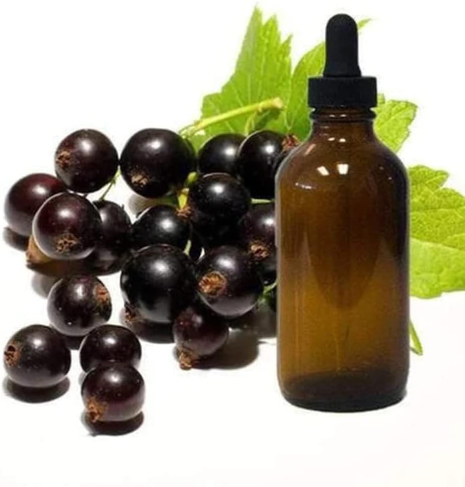 8oz Glass Bottle of Mybrand Black Currant Seed Oil - High-Quality Supplement for Health and Wellness