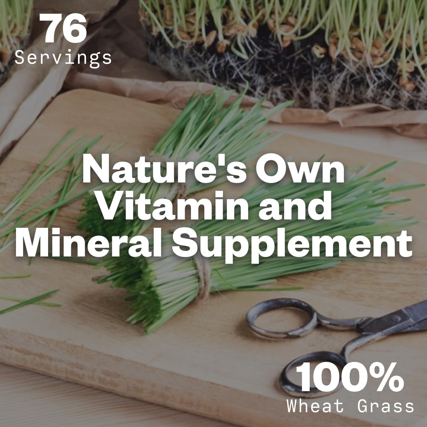 8oz Purisure Wheatgrass Powder - Green Superfood for Smoothies & Shakes, Immunity Boosting Wheat Grass Powder with Fiber & Minerals - 76 Servings - BoostGo Australia