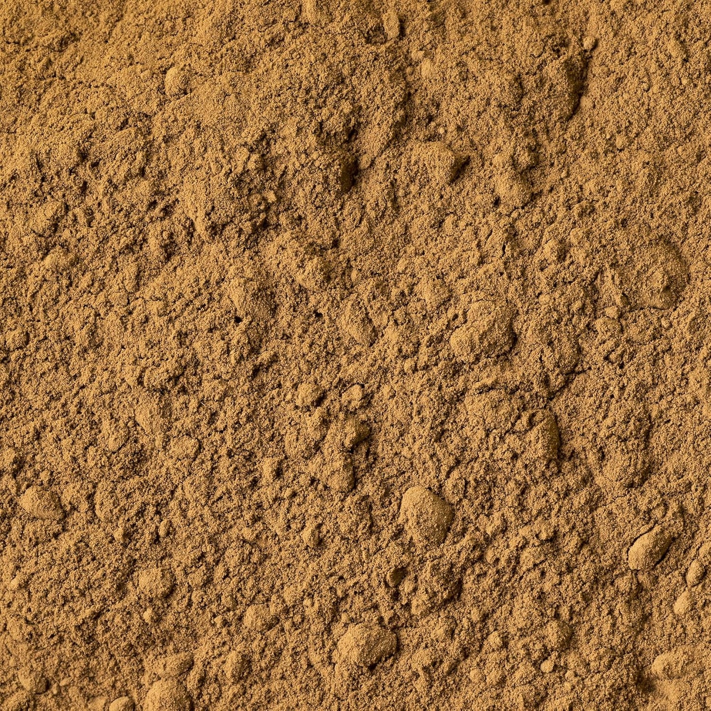 8oz Reishi Mushroom (Lingzhi) Supplement - Pure Original Ingredients, Traditional & Non-GMO, Lab-Verified