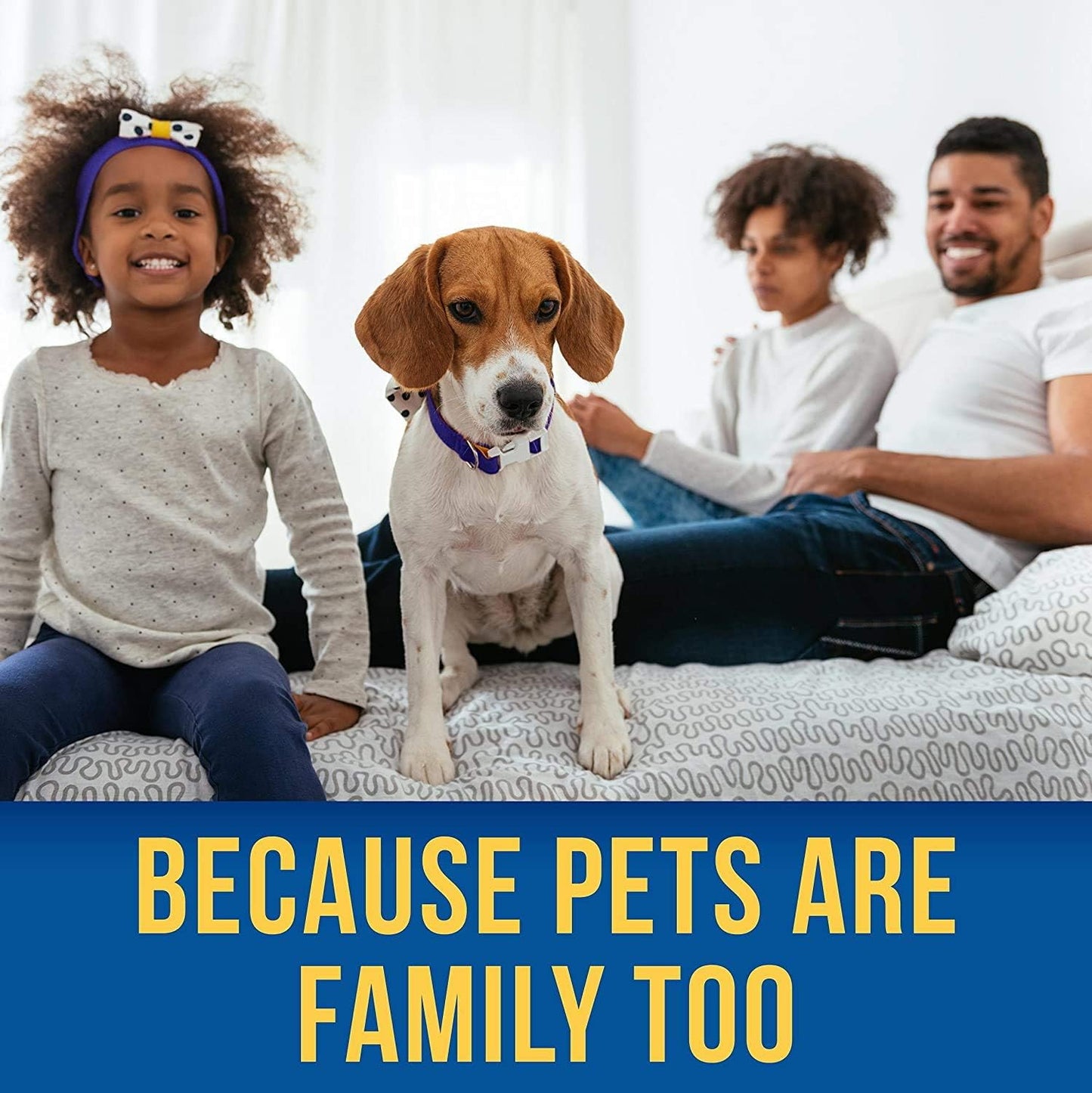 8oz Shed-X Liquid Dog Supplement - 100% Natural Solution for Shedding - Fish Oil Supports Skin & Coat - Essential Fatty Acids, Vitamins, Minerals