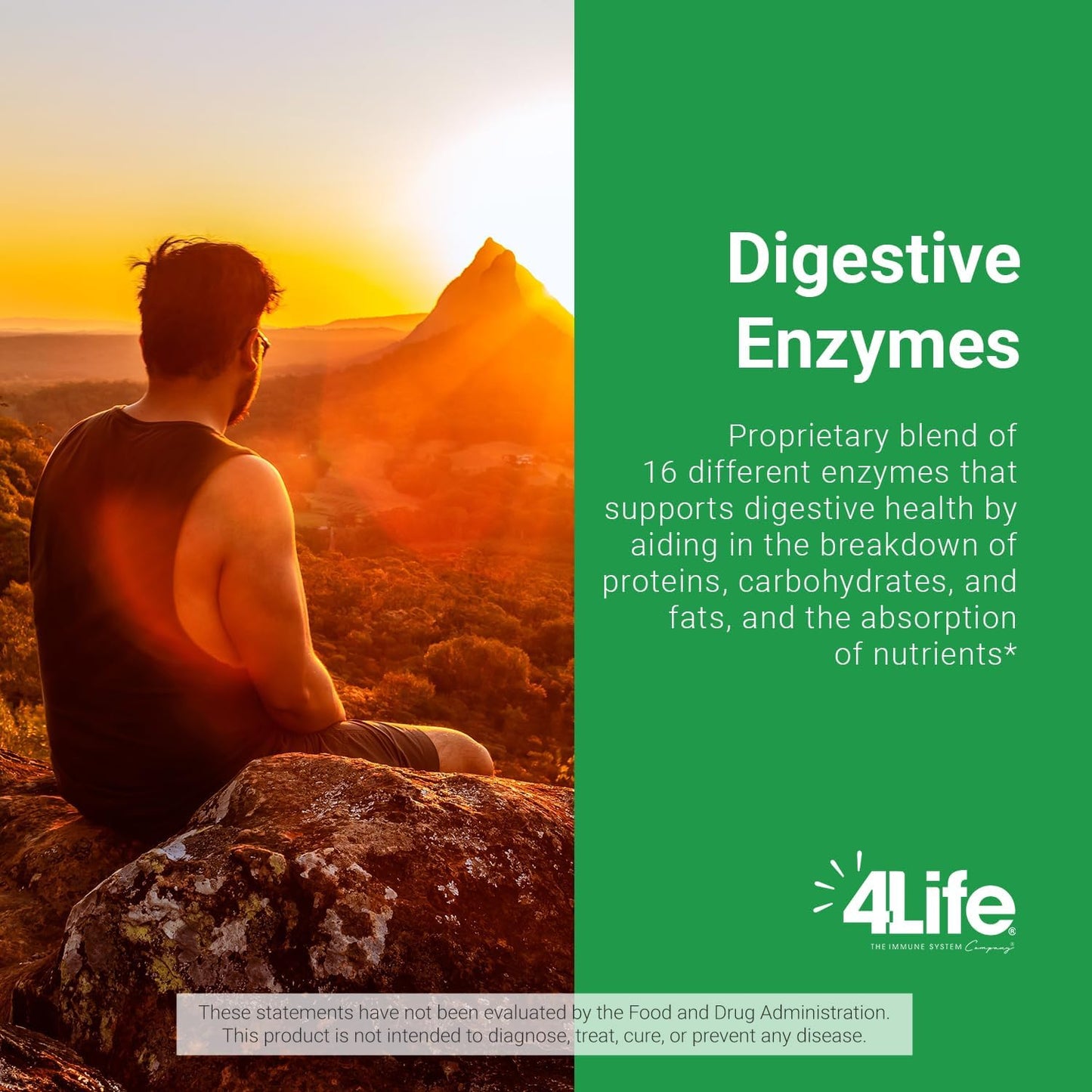 90 Capsules 4Life Digestive Enzymes for Digestive Health, Food Absorption, Protein, Carb, & Fat Breakdown