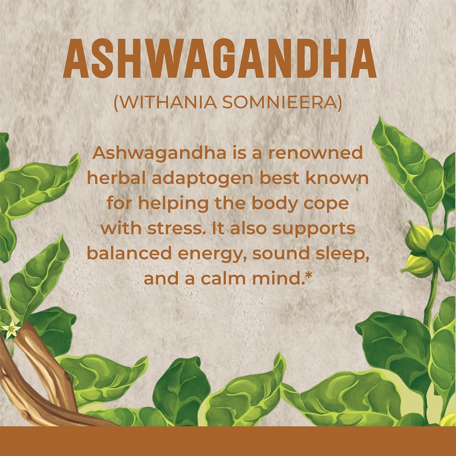 90 Count Ashwagandha Tablets - 1000mg, 45 Day Supply, Vegan, Natural from India | SunNature