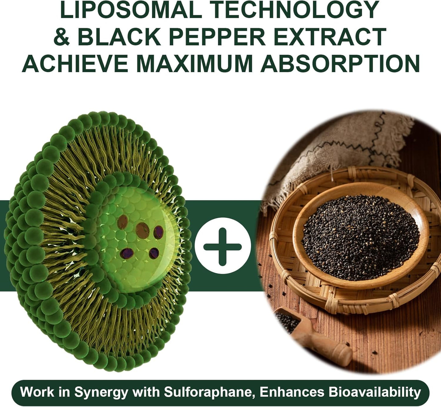 900MG Liposomal Sulforaphane Broccoli Extract Supplement - Liver Support for Antioxidant, Digestion, Cellular Health - 60 Capsules
