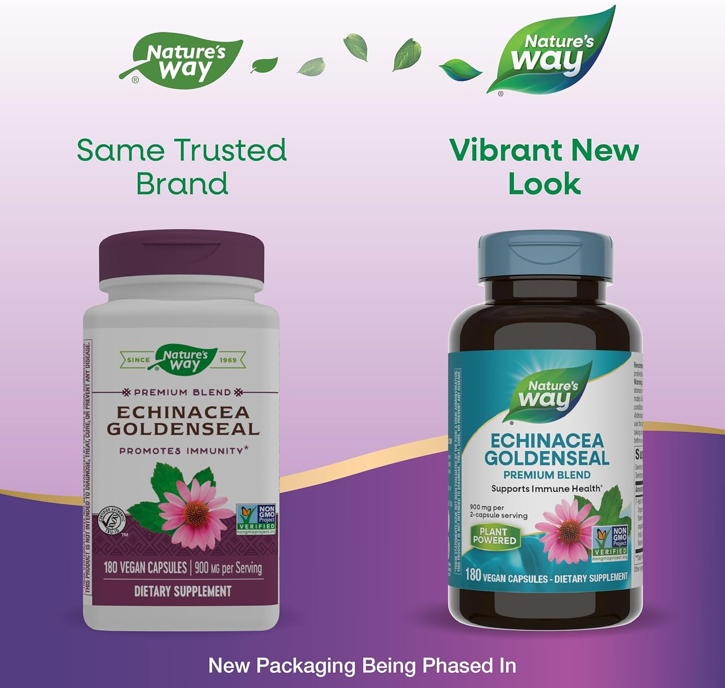 900mg Nature's Way Echinacea Goldenseal Capsules - Immune Support Blend with 7 Herbs - Cayenne Pepper, Gentian, Burdock - 180 Vegan Capsules (Pack of 2)