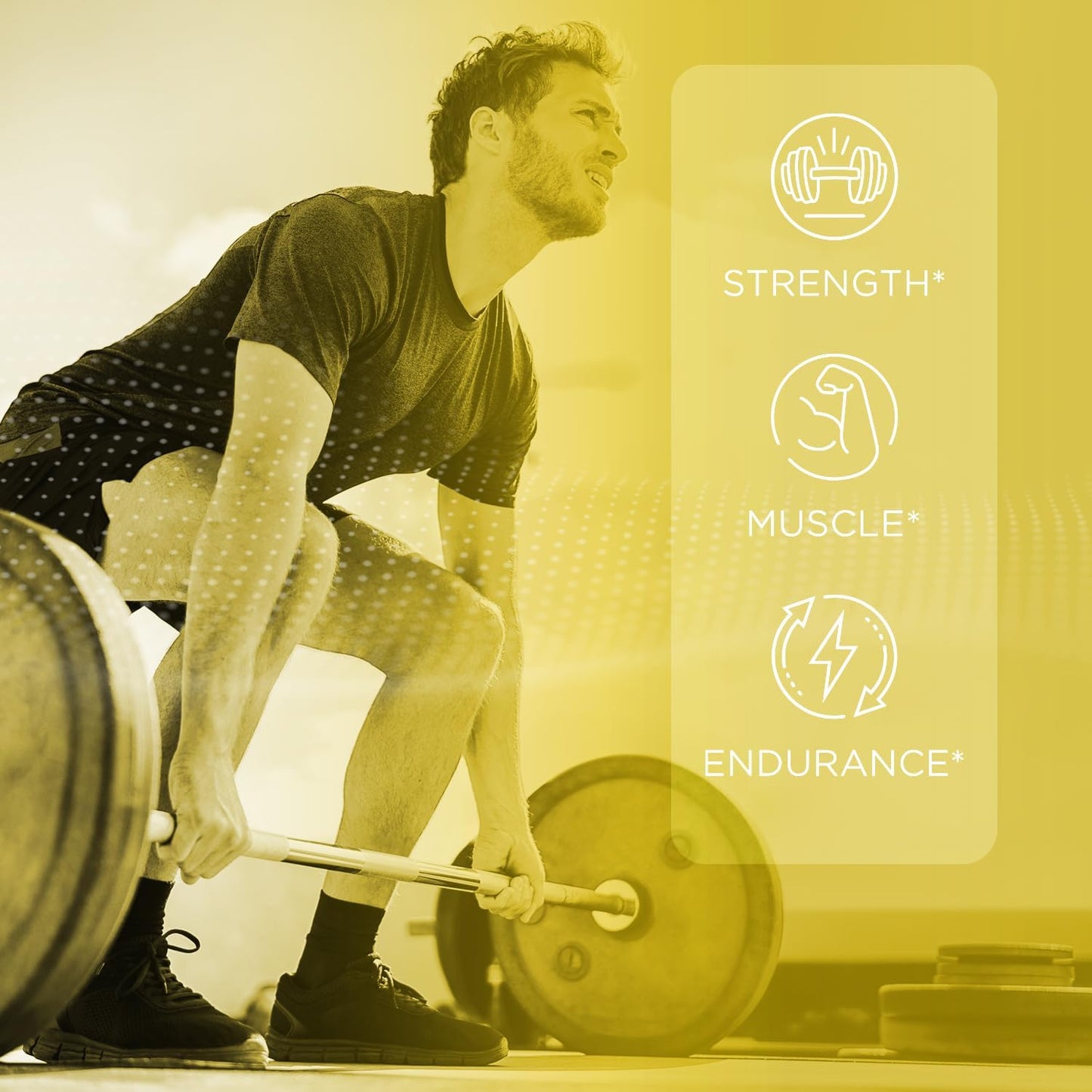 90ct Creatine Monohydrate and Sugar-Free Milk Thistle Gummies: Effective Nutra Supplement Pack