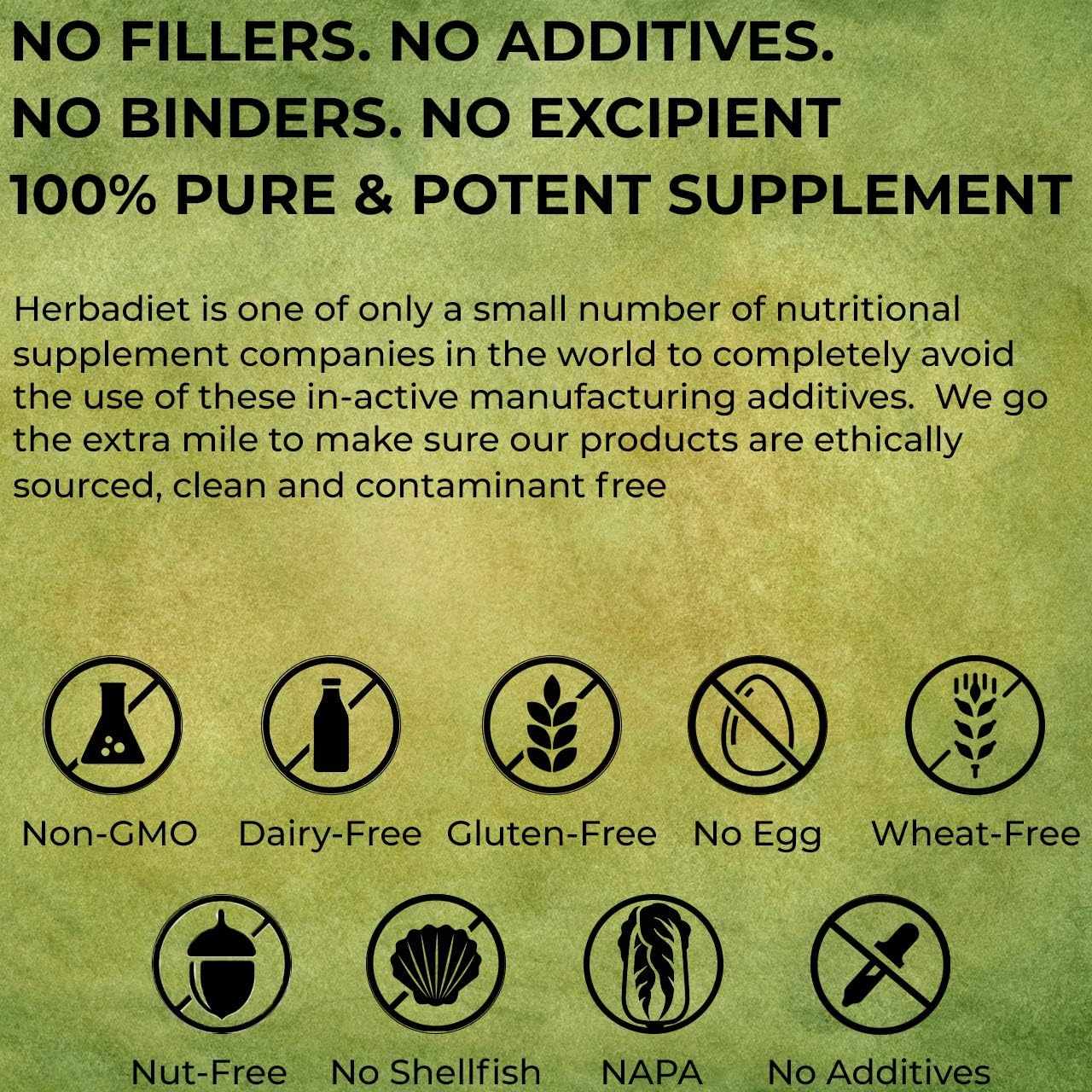 95% Piperine Powder | Black Pepper Extract for Bioavailability | Nutrient Absorption | Gluten Free Non-GMO Supplement