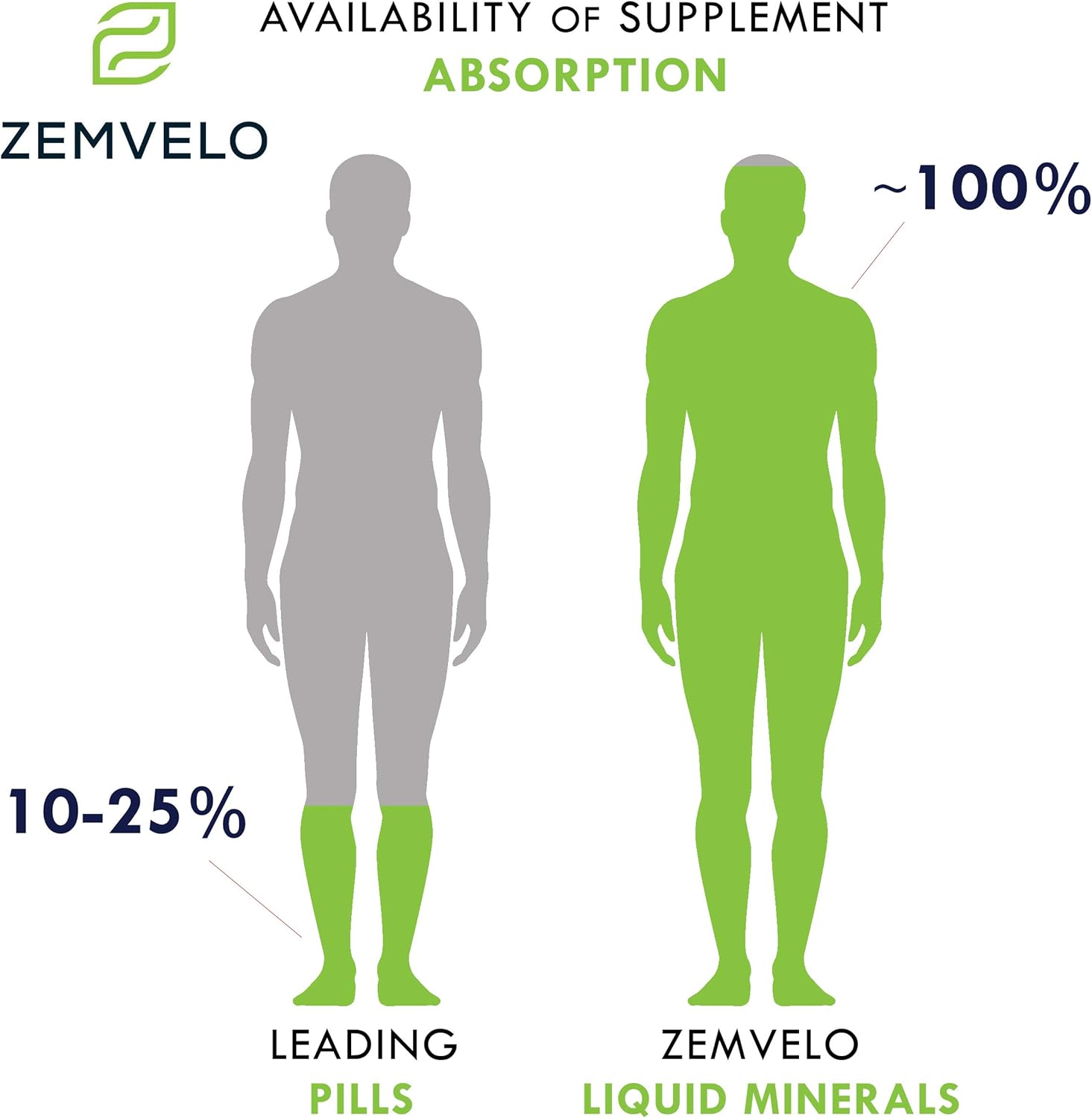 96 Day Supply Zemvelo Liquid Ionic Zinc for Clear Skin, Energy, and Inflammatory Support