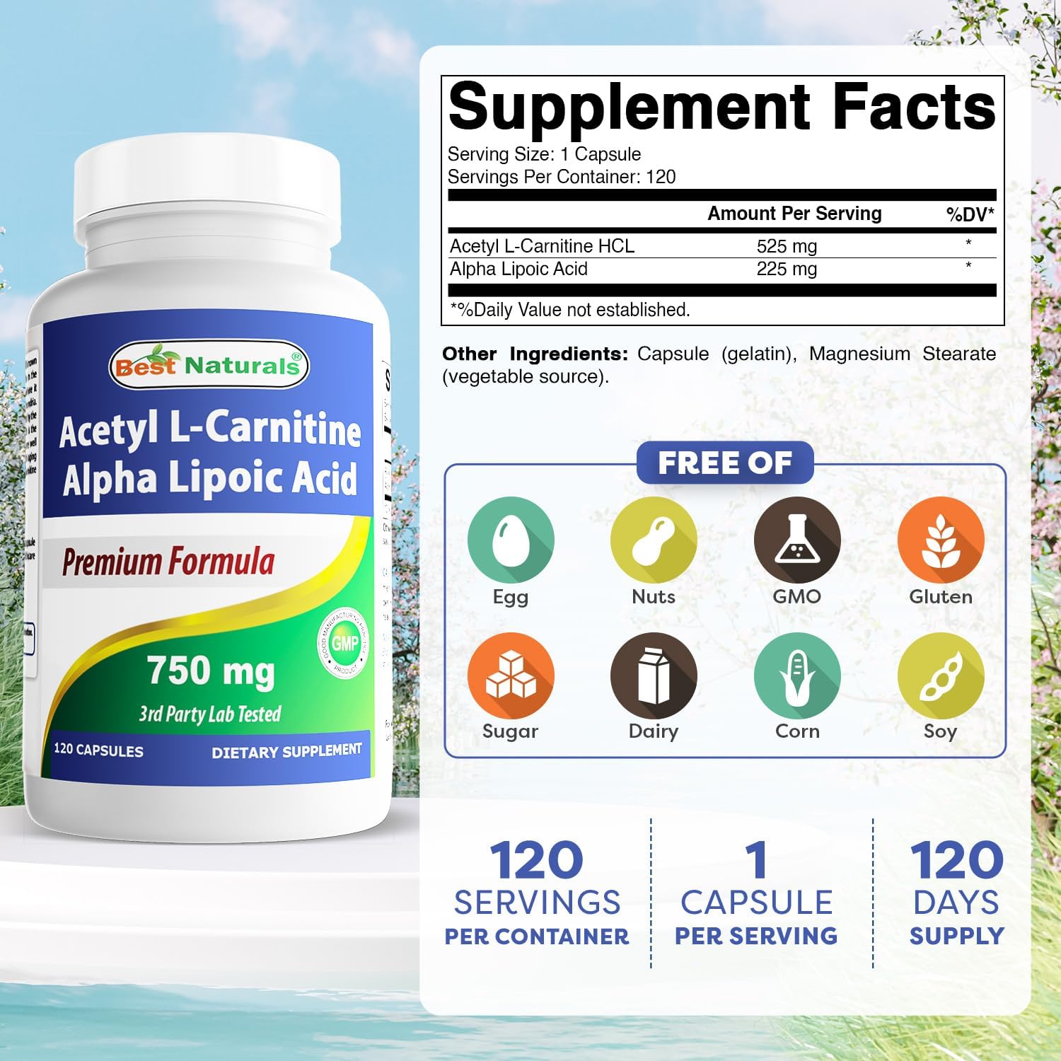 Acetyl L-Carnitine and Alpha Lipoic Acid Capsules - 750mg, 120 Count (Pack of 3) | Best Naturals