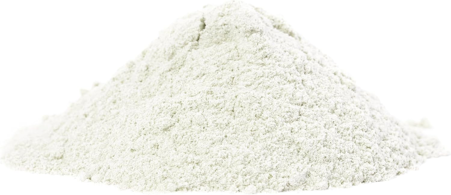 Acetyl L-Carnitine Powder Supplement - Pure ALCAR Amino Acid Ingredients (1 lb)