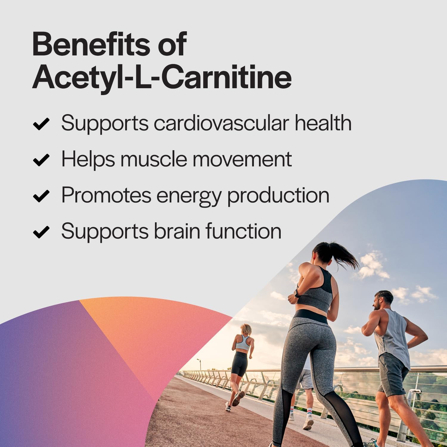 Acetyl L-Carnitine Supplement for Brain & Memory Support - 500mg, 60 Capsules, Non-GMO & Dairy Free - PureFormulas Alcar Focus Formula
