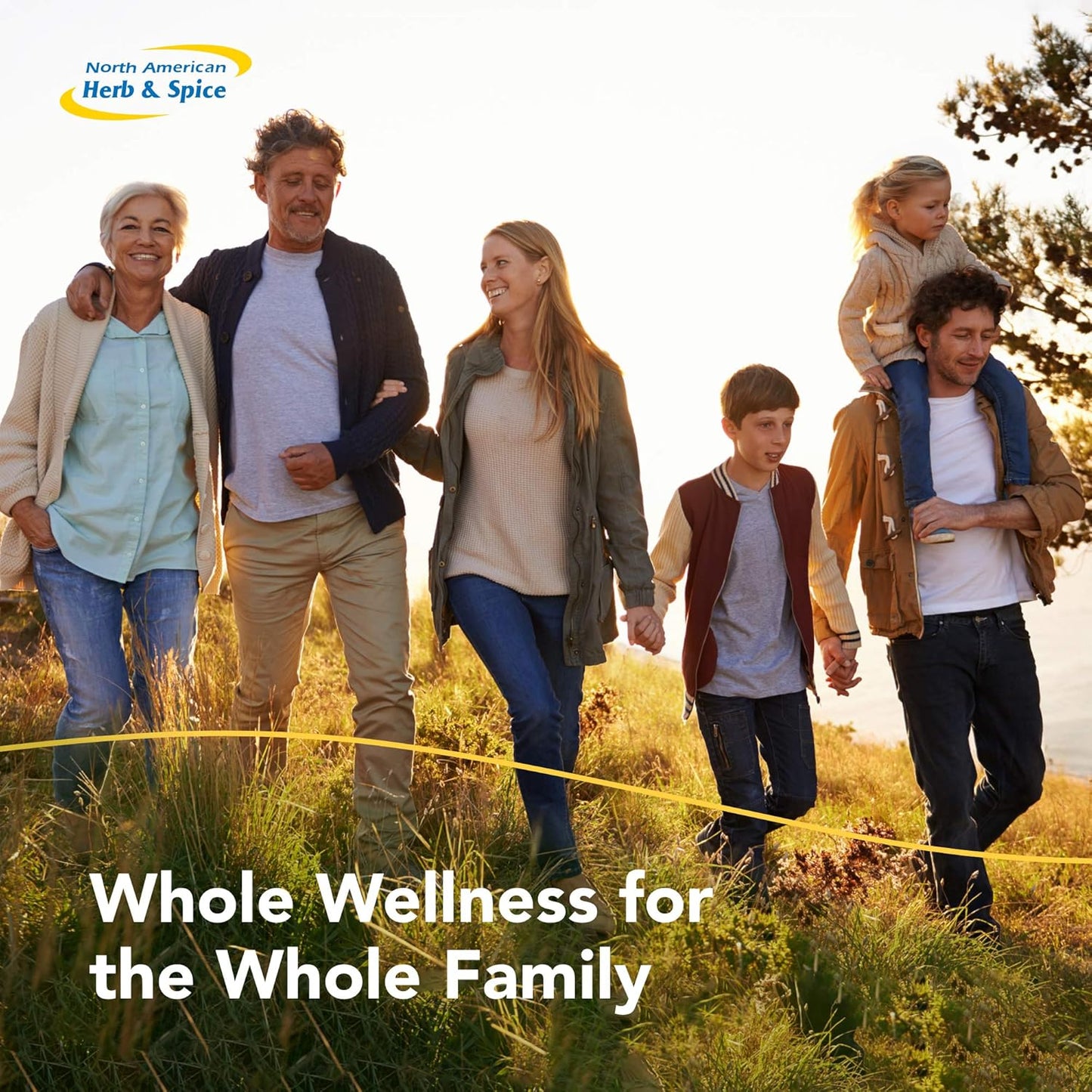 ActiFEM Hormone Balance Capsules - Supports Women's Hormonal Health, Metabolism, and Mood - With Royal Jelly, Wild Atlantic Kelp, Fennel - Non-GMO - 90 Servings