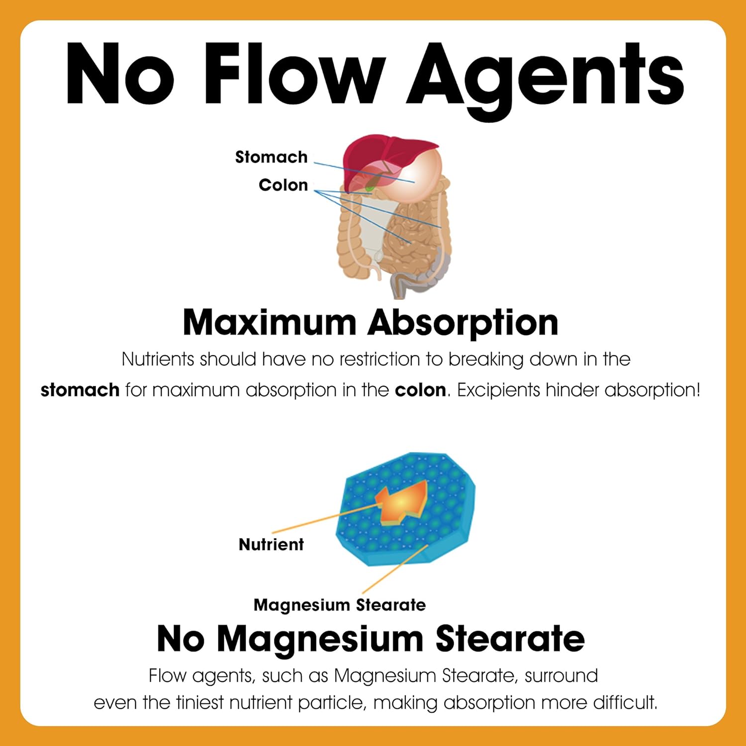 Activated Charcoal Capsules - Natural Detox Support (100 Count, 280mg) by Nature's Way