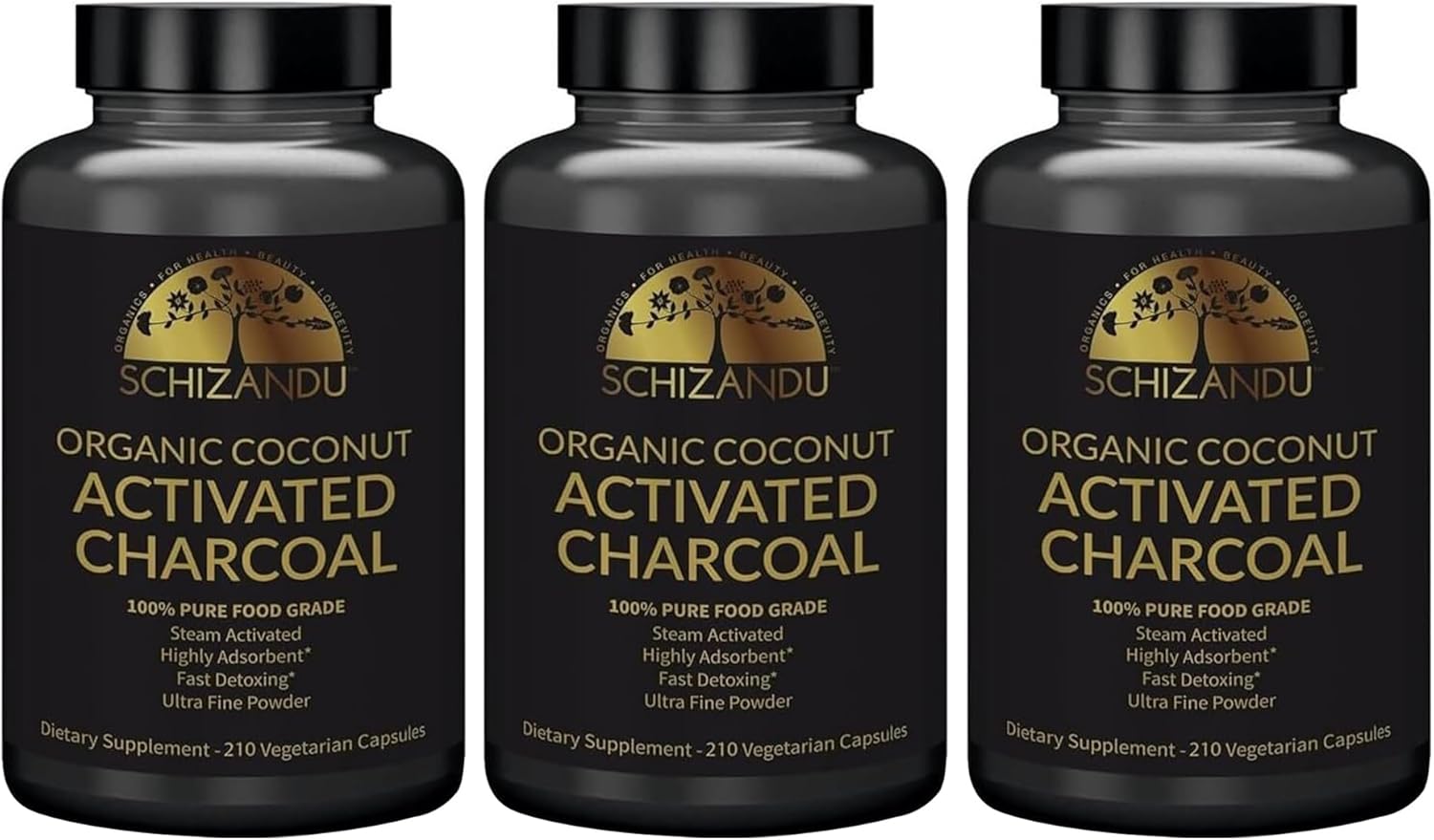Activated Coconut Charcoal Capsules - Vegan, Organic, Non-GMO - X-Large Bottle 210 Count - Pack of 3 - Supports Health & Wellness