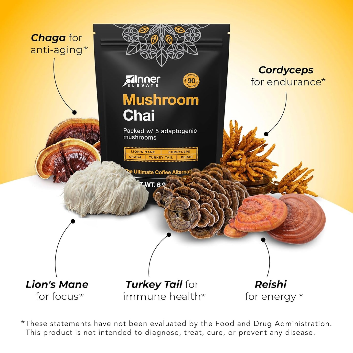 Adaptogenic Mushroom Chai Tea Blend with Lion's Mane, Cordyceps, Chaga, Reishi, Turkey Tail - Ultimate Coffee Substitute (90 Servings) - BoostGo Australia
