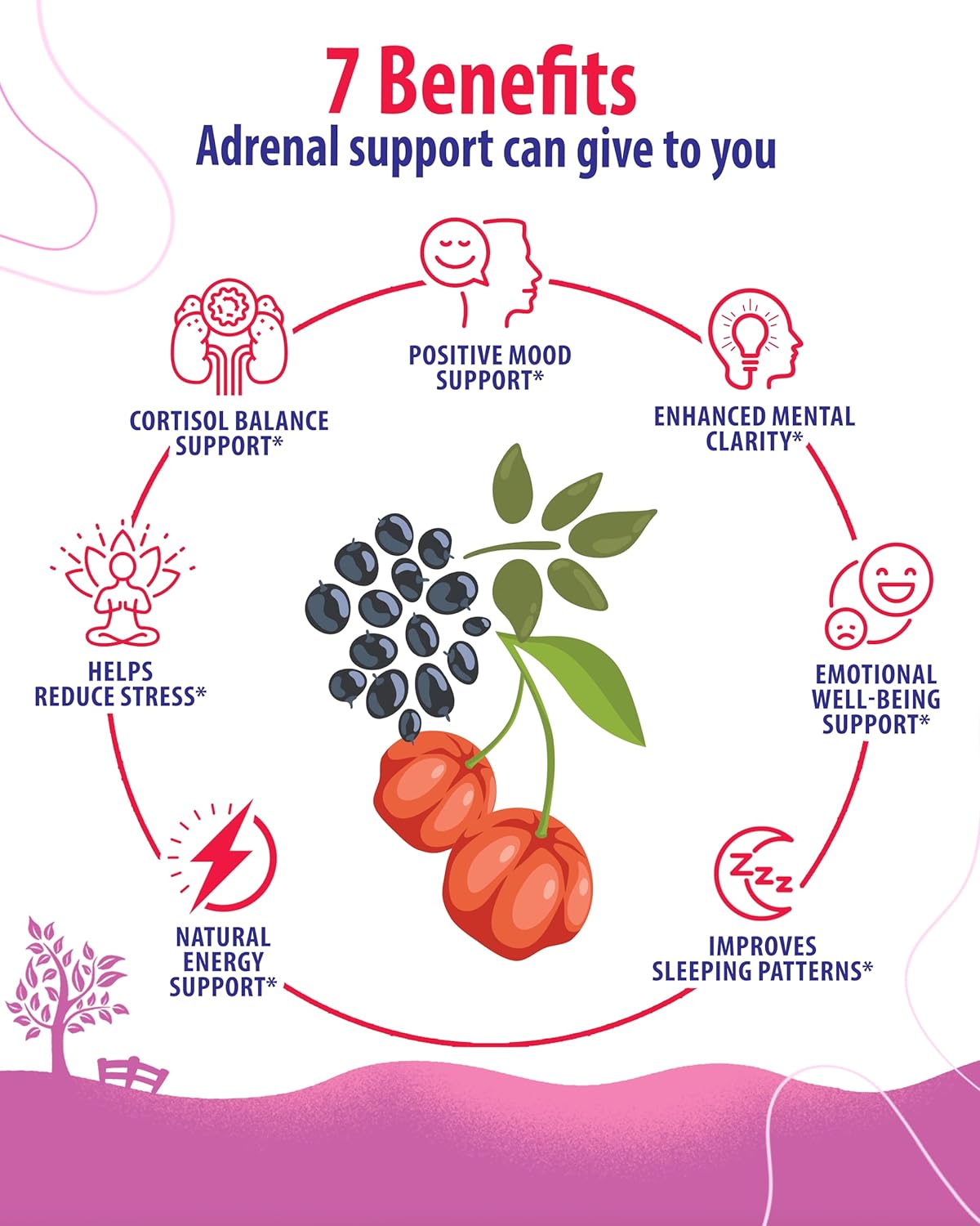 Adrenal Cortex Support Supplements for Cortisol Management - Boost Energy Levels and Regulate Tension