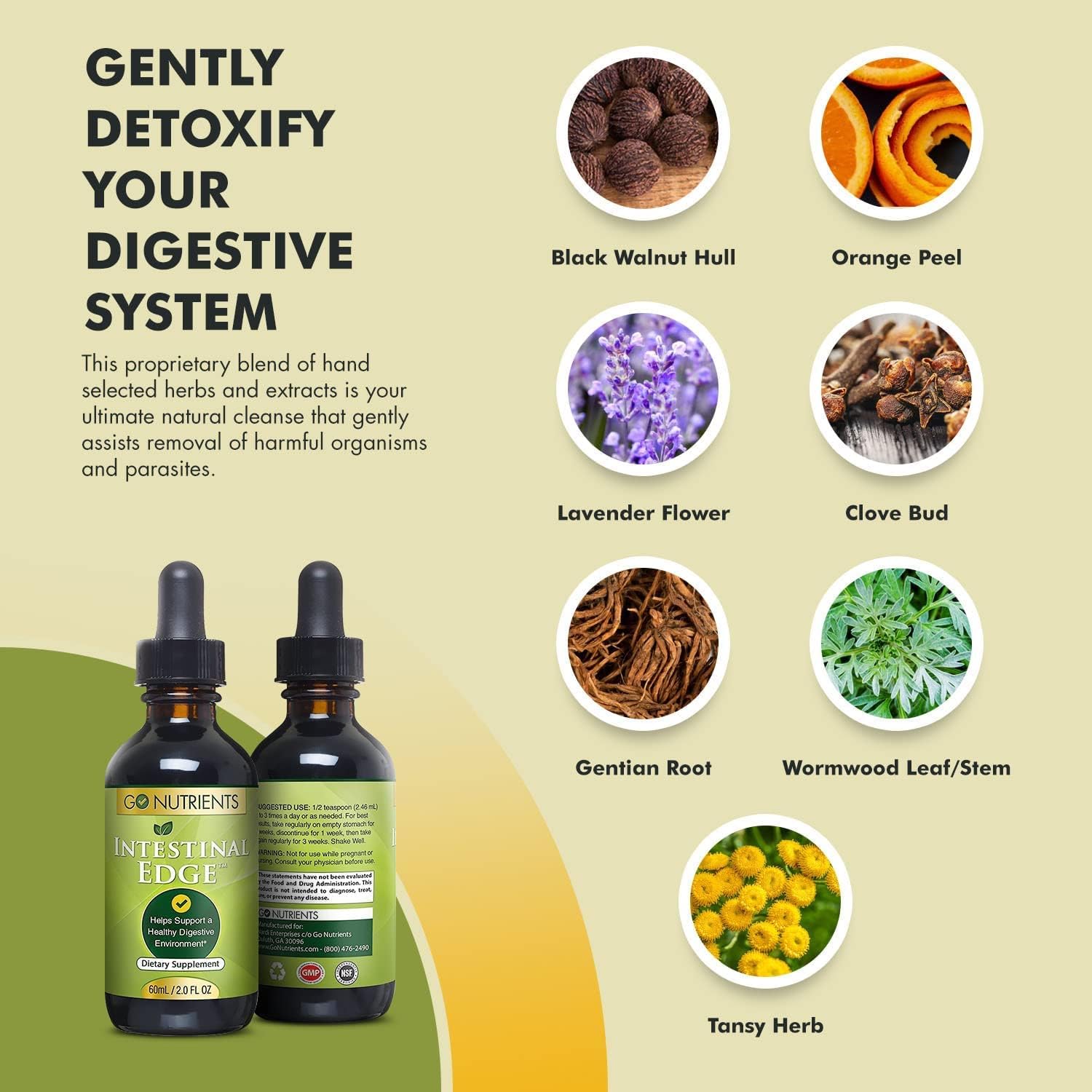 Adrenal Edge & Intestinal Edge Liquid Drops - Digestive & Energy Supplement with 9 Powerhouse Herbs - Non-GMO & Gluten Free