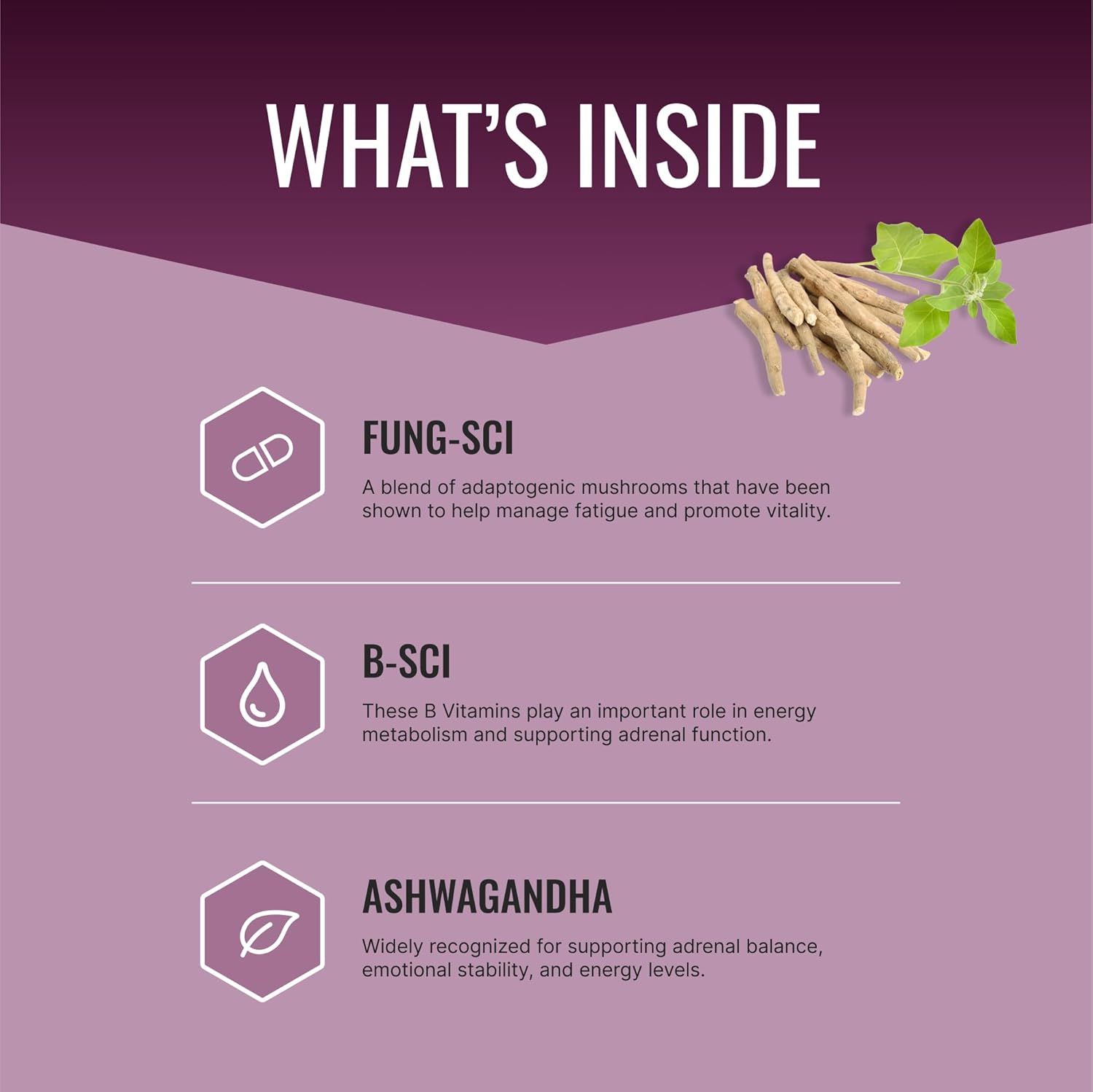 Adrenal Gland Support Supplement - 180 Capsules - Approved Science Adrenasyl