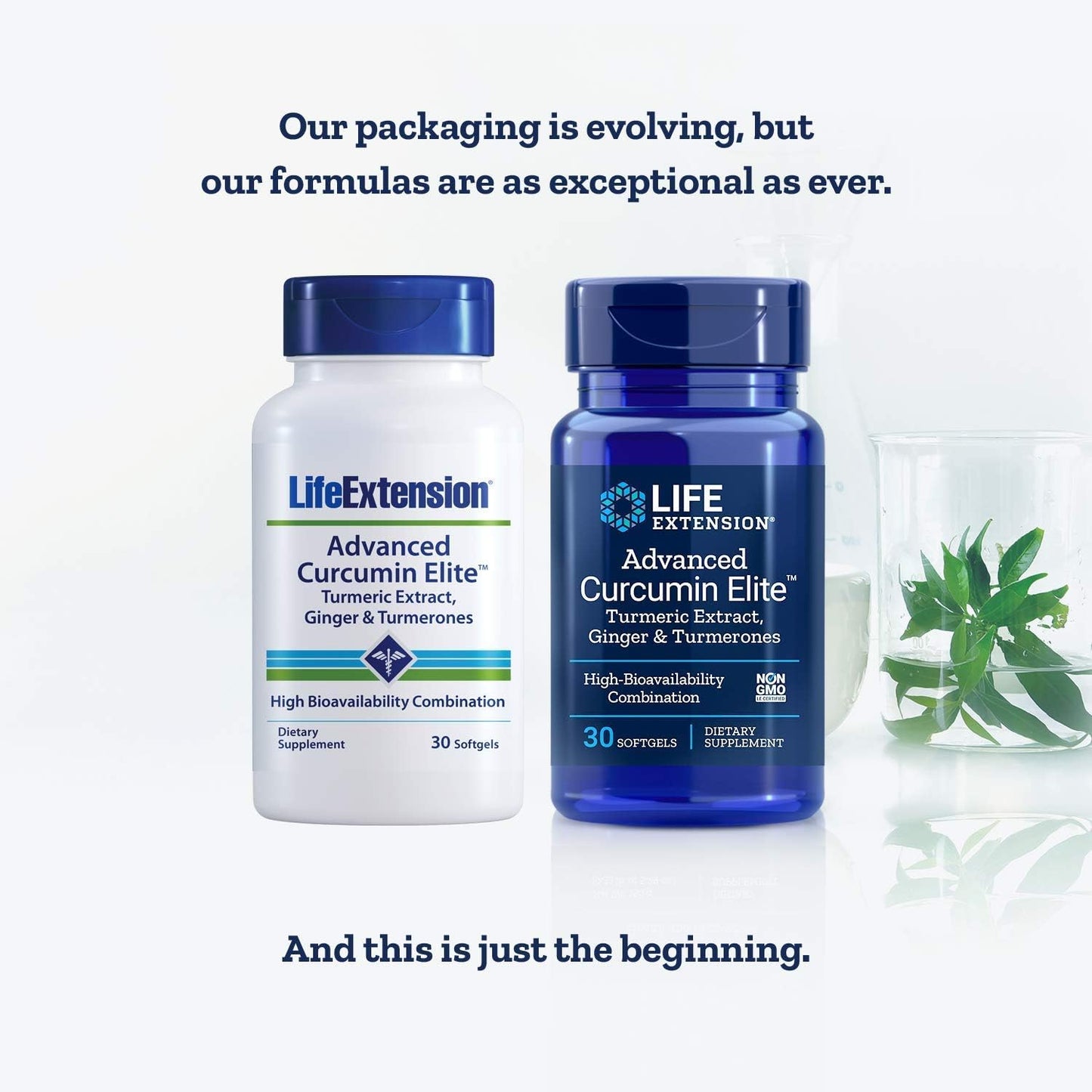 Advanced Curcumin Elite with Ginger & Turmerones - Life Extension 30 Softgels
