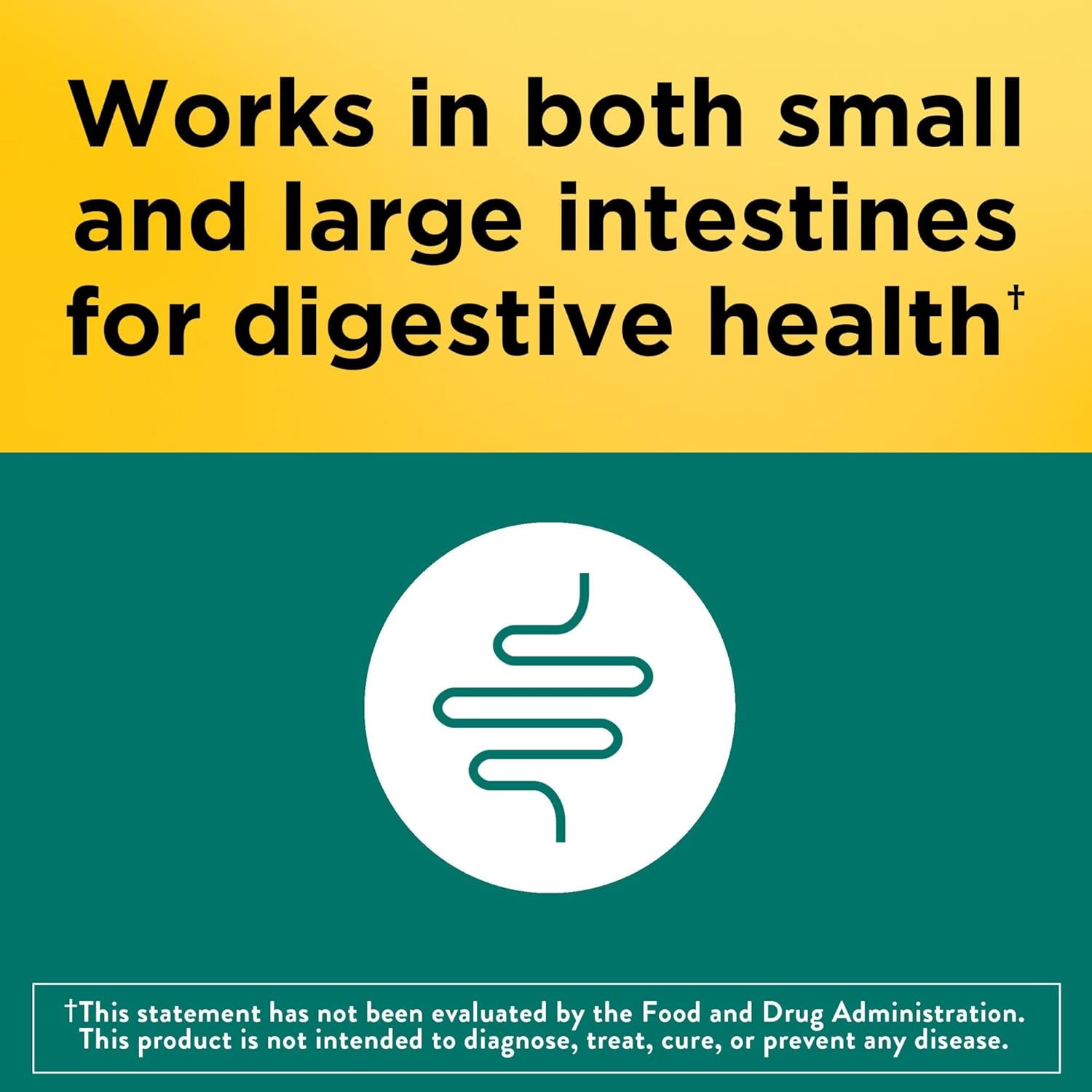 Advanced Dual Action Probiotics for Men and Women, 30 Capsules, 30-Day Supply by Nature Made