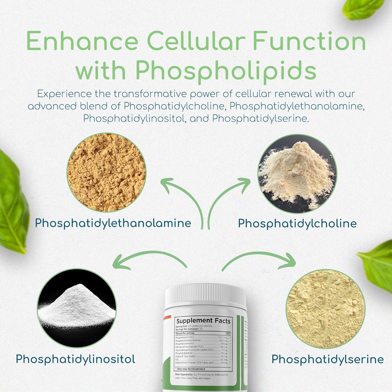 Advanced Phospholipid Synergy Powder for Cellular Repair & Brain Health - Liver Detox Formula - 270 g