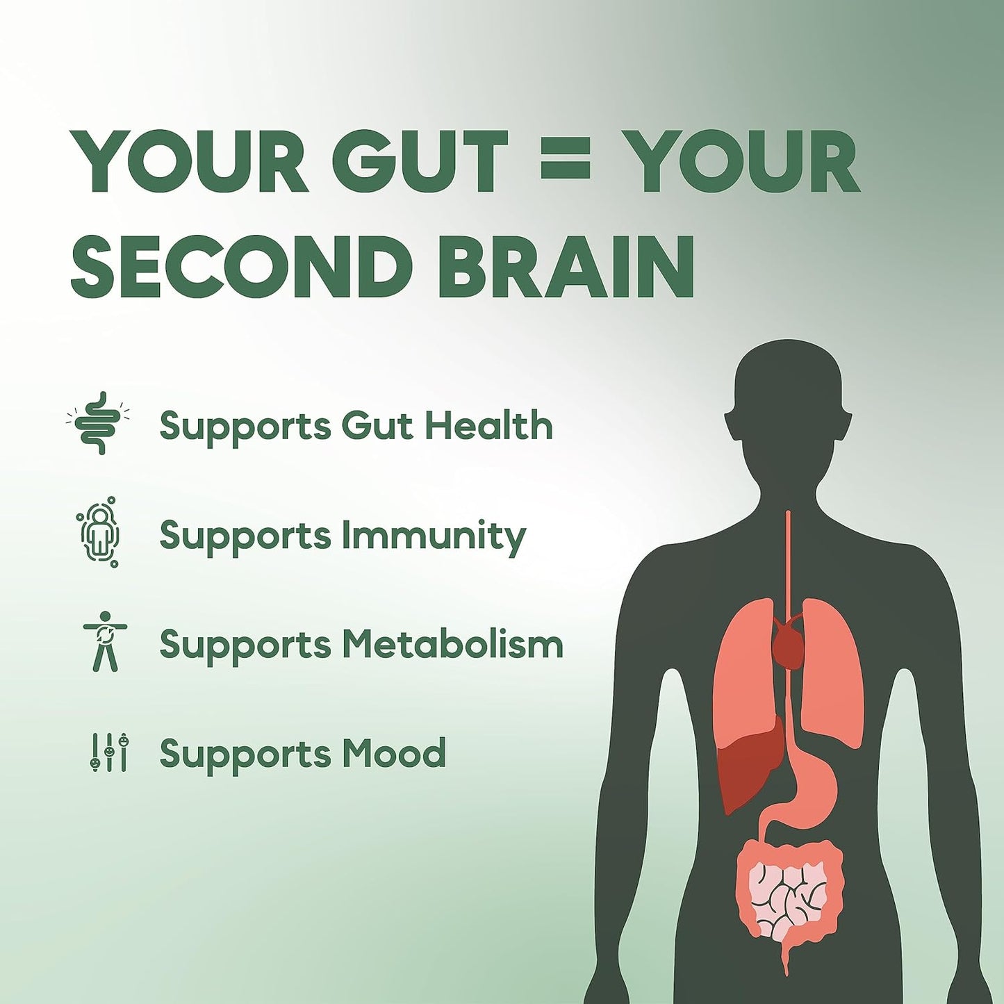 Advanced Prebiotics & Probiotics Supplement for Digestion, Brain Health, Immunity, & Metabolism - Vegan, Lower Dose, Quick Results - Men & Women - 45 Days Supply