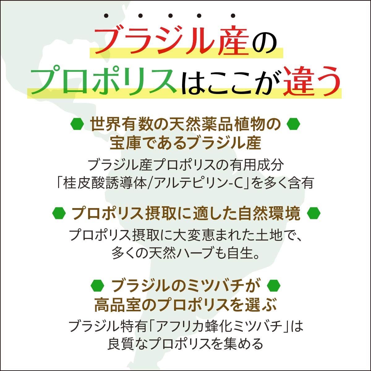 AFC Japan Brazilian Green Propolis Honey Spray - 25% Propolis Extract with Flavonoids - Immune Support & Sore Throat Relief