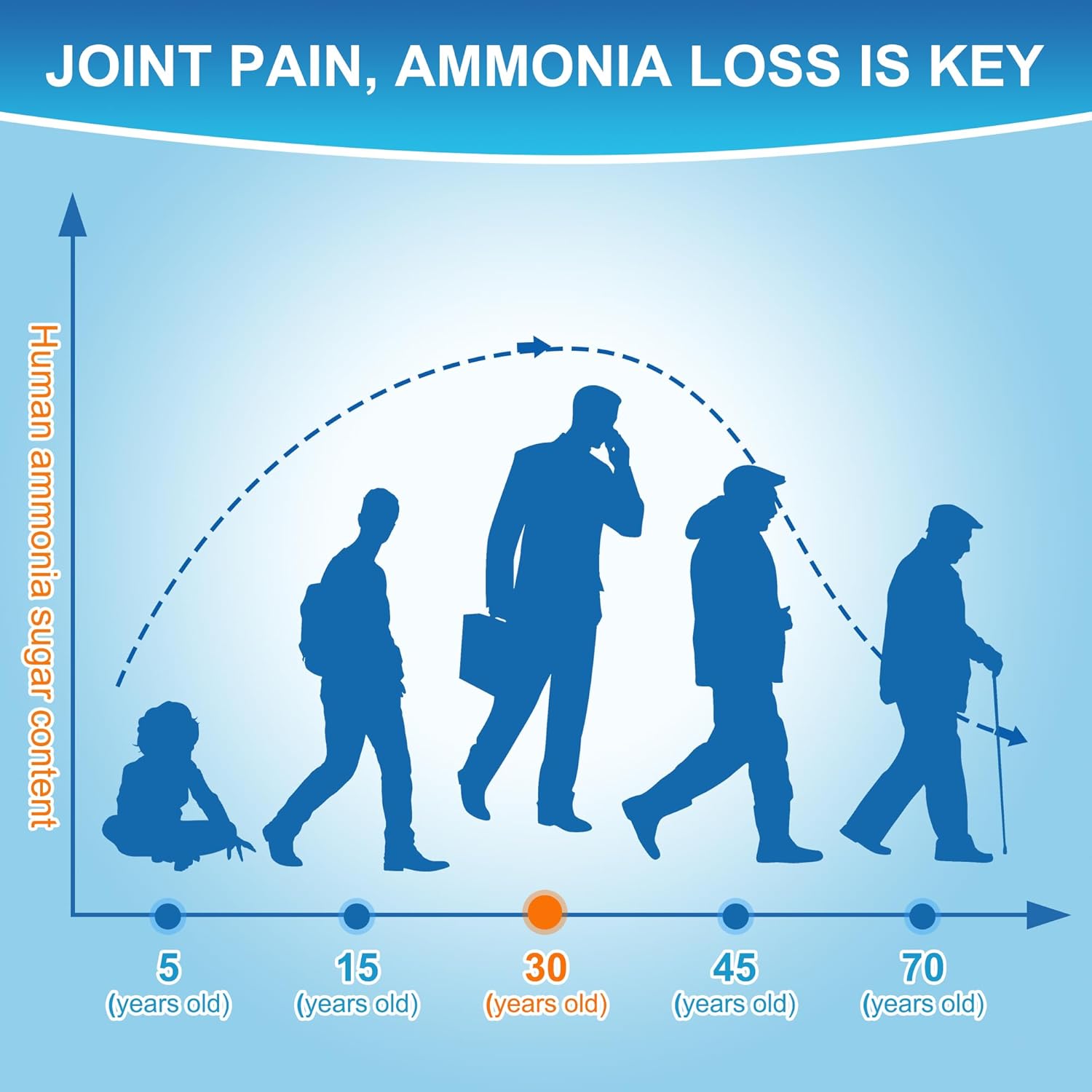 Ageless Foundation Laboratories UltraFlex Gold Liquid Joint Health Formula - Promotes Joint Mobility and Flexibility with Glucosamine, Chondroitin, MSM - 16 Fl Oz