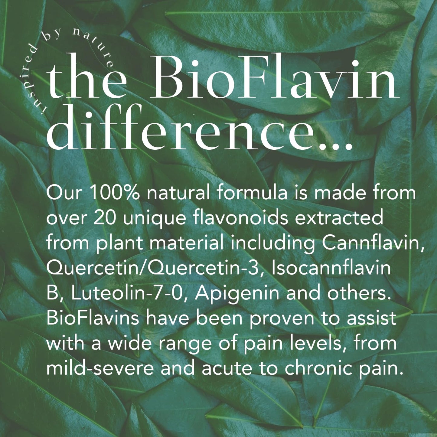 AJA REPAIR Mist - Organic Skin Soothing Spray with BioFlavins for Irritations (8 oz)