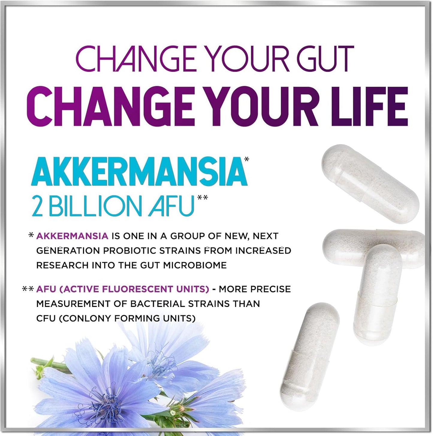Akkermansia Probiotic Supplement with Inulin Fiber - 2 Billion AFU for Digestive and Immune Support - 60 Capsules