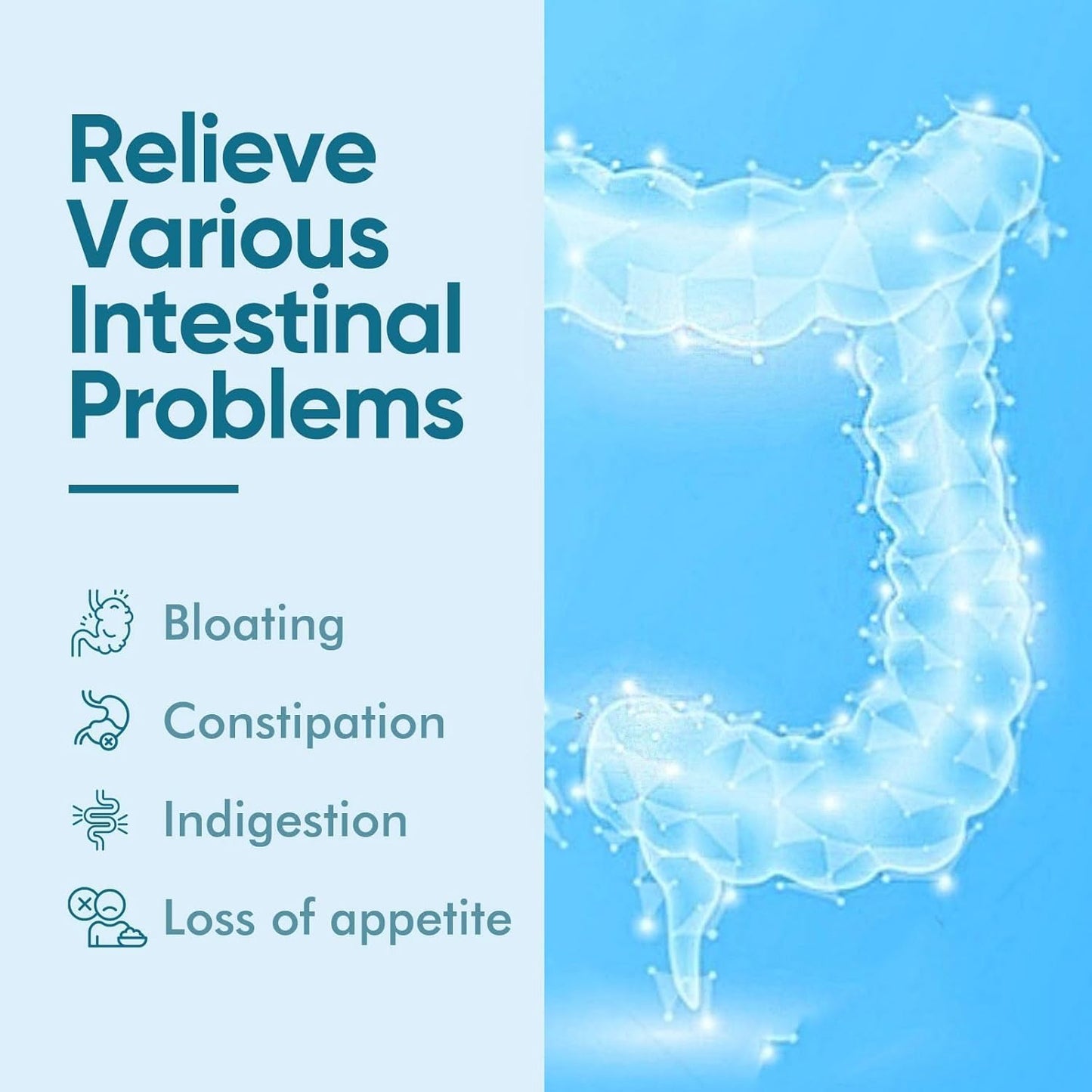Akkermansia Probiotic with Prebiotic Fiber for GLP-1 Production and Gut Health - 120 Capsules