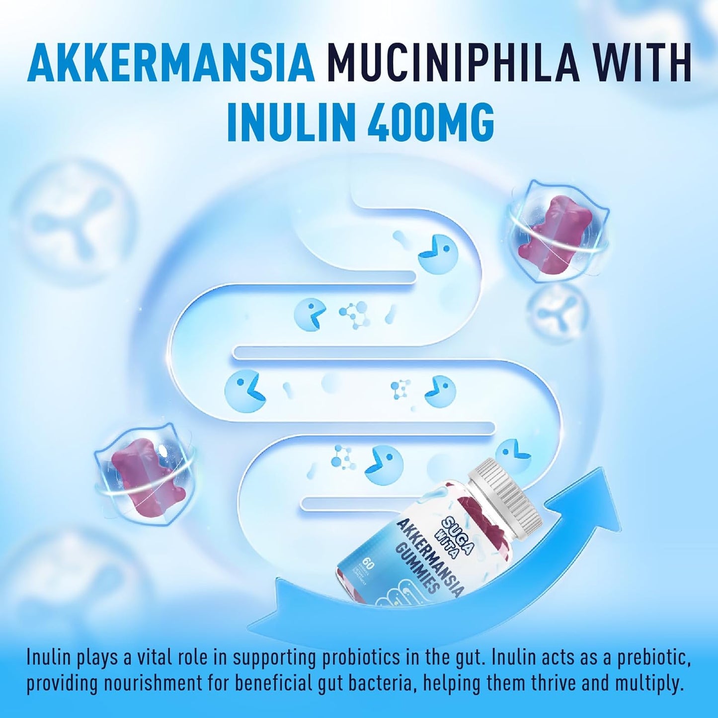 Akkermansia Probiotics Gummies with Inulin for Digestive Health - 60 Count