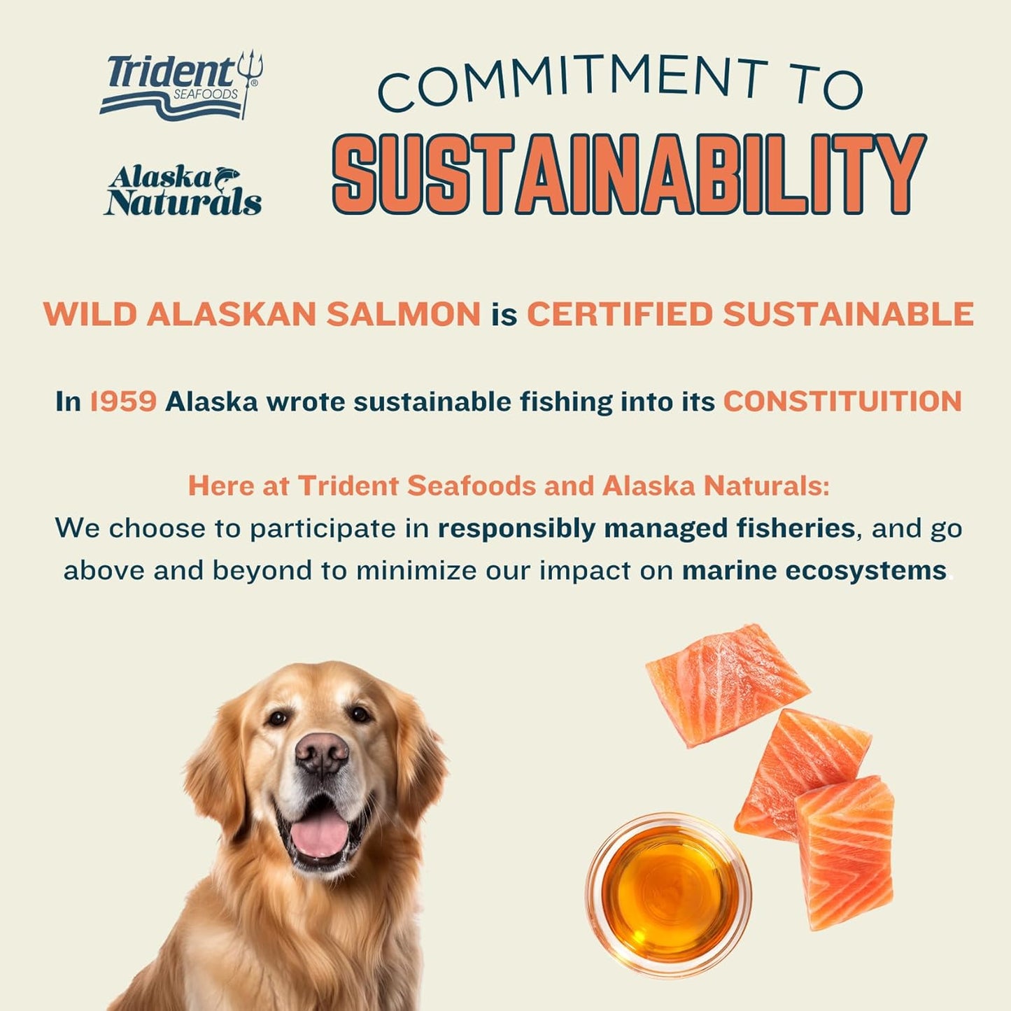 Alaska Naturals Wild Alaskan Salmon Fish Oil Liquid Food Topper 32 oz. Pump - Dog Skin & Coat Supplement with EPA DHA Omega 3 Fatty Acids