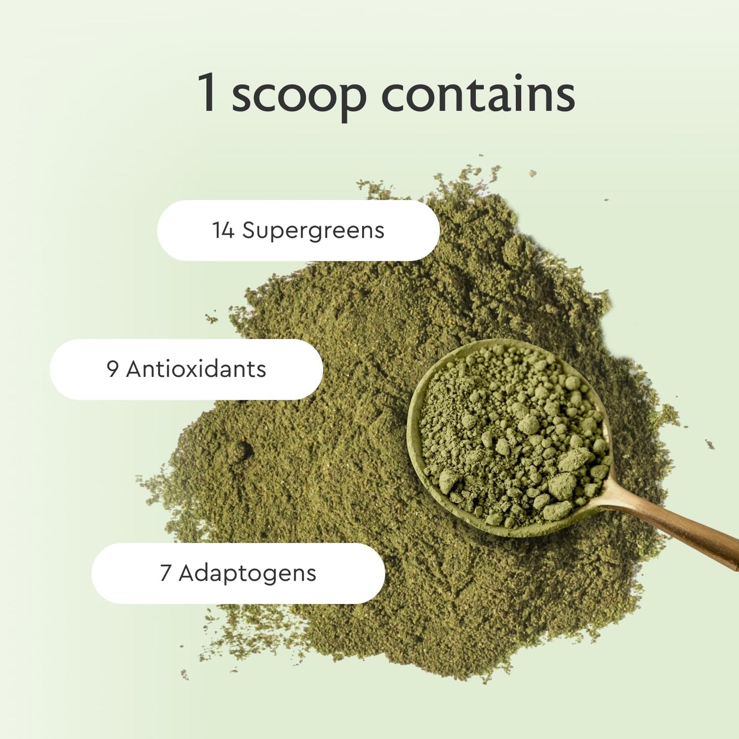 Alaya Naturals Organic Super Greens Powder - Premium Green Juice Superfood with Adaptogens, Antioxidants, Probiotics - USDA Organic, Non-GMO, Vegan - 30 Servings
