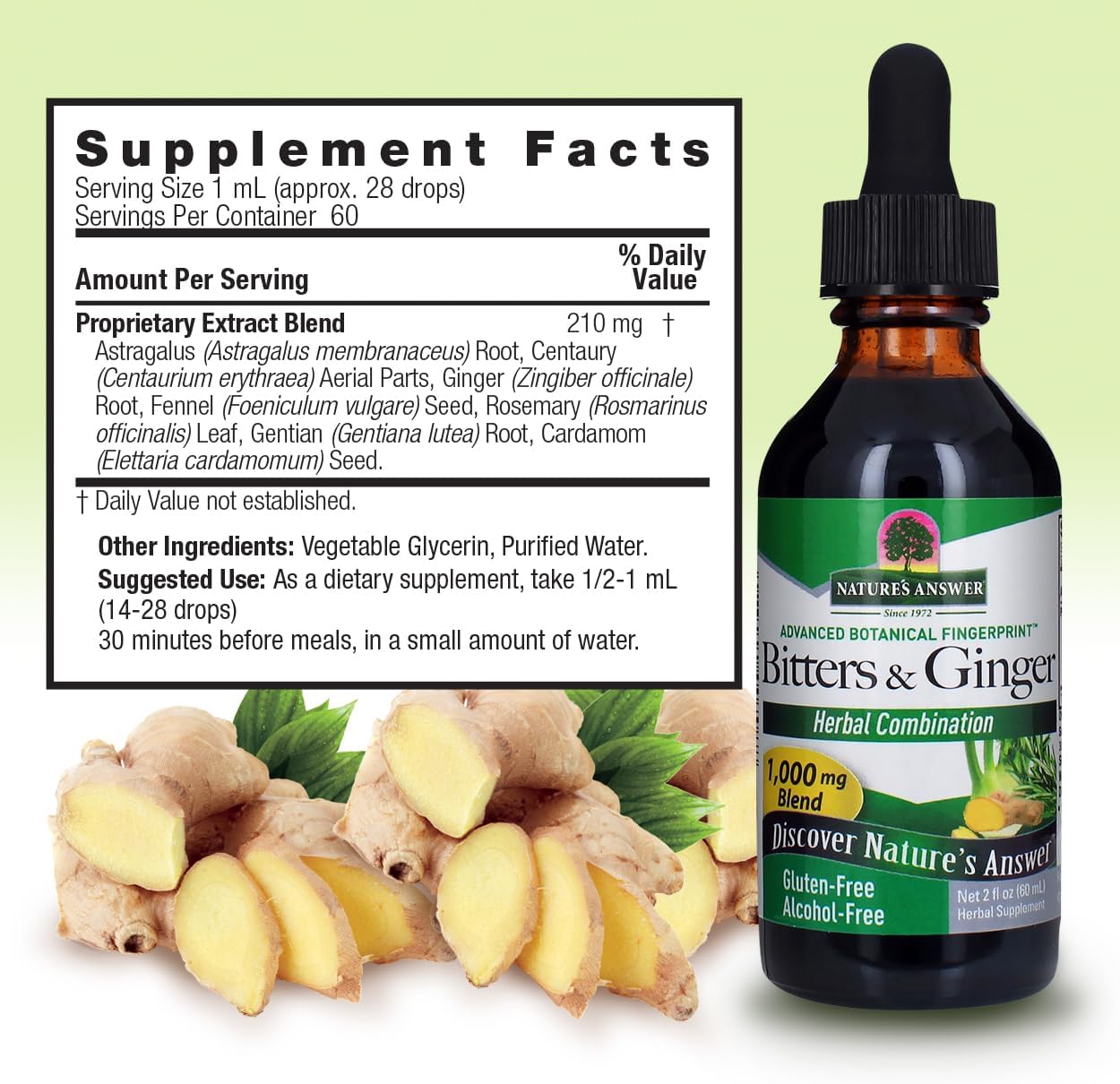 Alcohol-Free Bitters & Ginger Extract for Digestive Support - 2 oz, Gluten-Free, Stomach Support - Swedish Bitters, Digestive Bitters - All-Natural & Suitable for Everyone