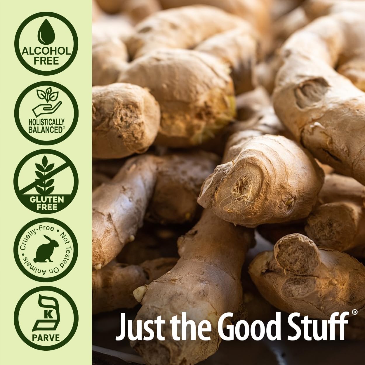 Alcohol-Free Bitters & Ginger Extract for Digestive Support - 2 oz, Gluten-Free, Stomach Support - Swedish Bitters, Digestive Bitters - All-Natural & Suitable for Everyone