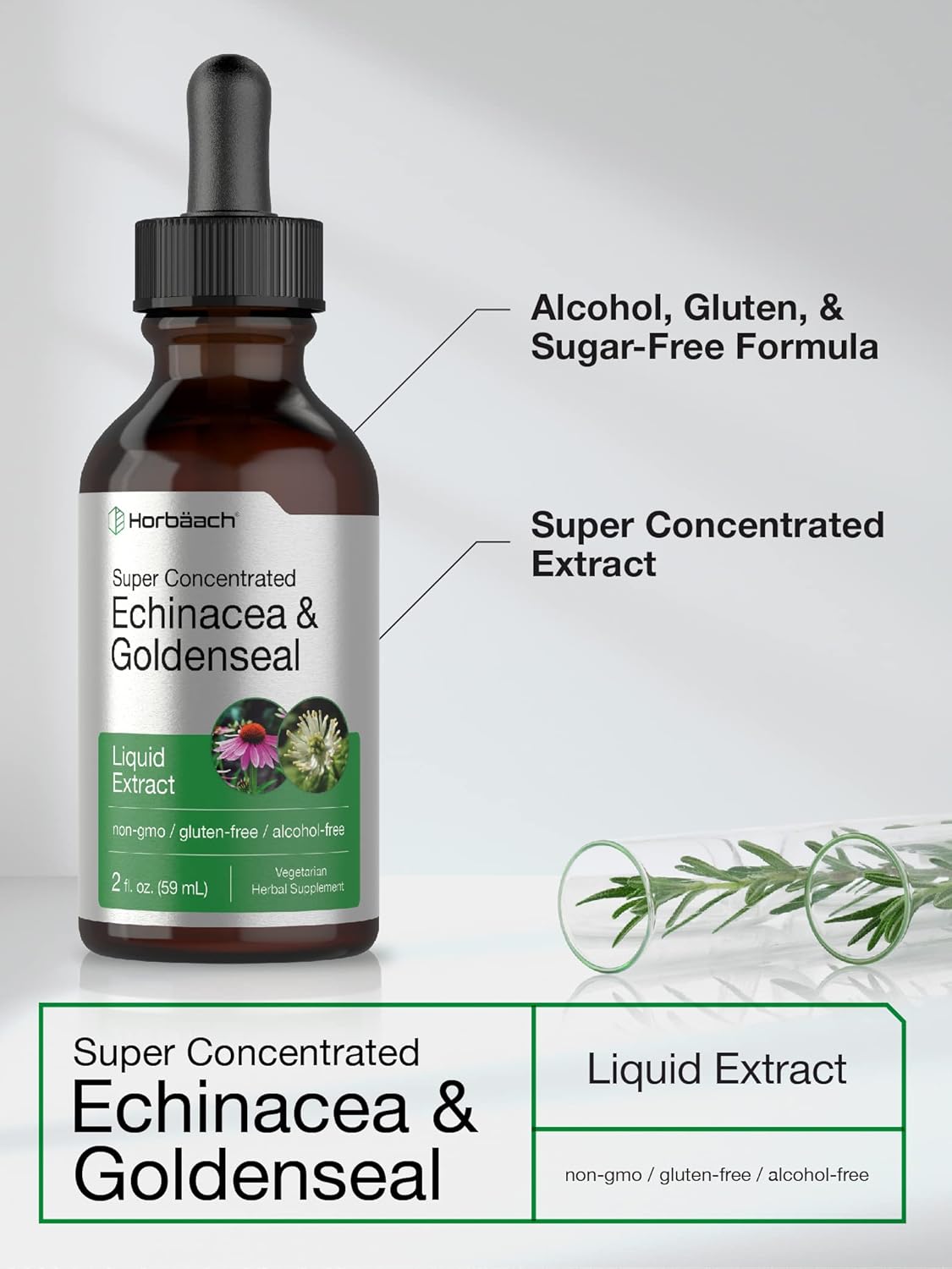 Alcohol-Free Echinacea Goldenseal Liquid Extract | 2 fl oz Tincture Drops | Vegetarian, Non-GMO, Gluten-Free