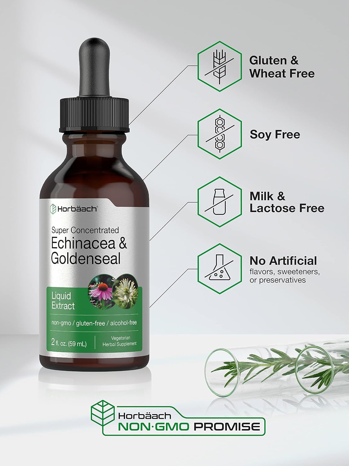 Alcohol-Free Echinacea Goldenseal Liquid Extract | 2 fl oz Tincture Drops | Vegetarian, Non-GMO, Gluten-Free