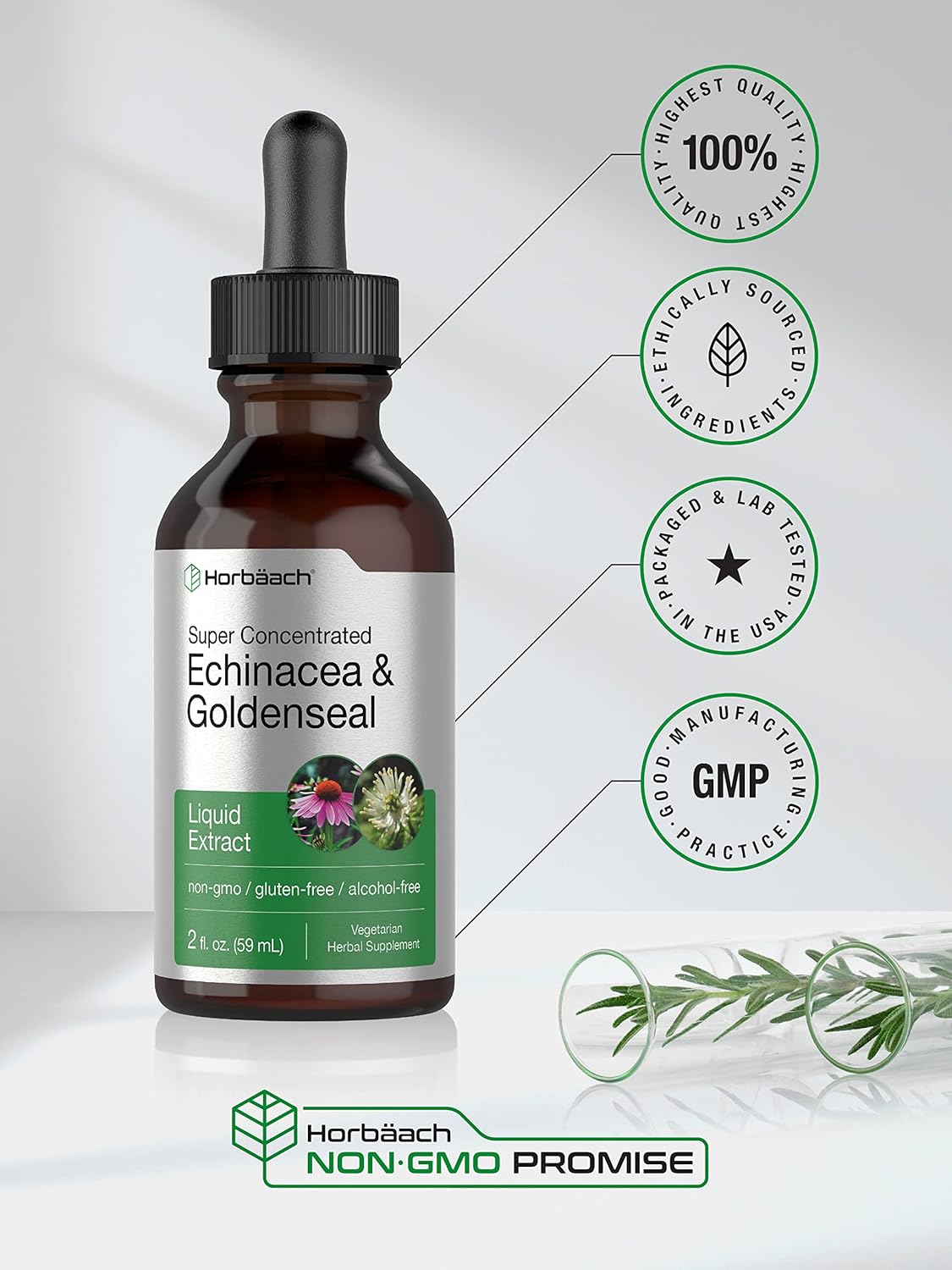Alcohol-Free Echinacea Goldenseal Liquid Extract | 2 fl oz Tincture Drops | Vegetarian, Non-GMO, Gluten-Free