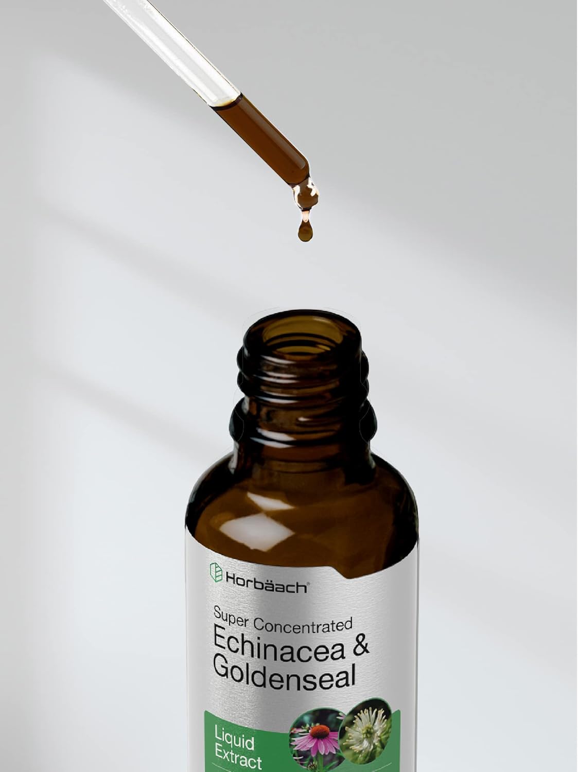 Alcohol-Free Echinacea Goldenseal Liquid Extract | 2 fl oz Tincture Drops | Vegetarian, Non-GMO, Gluten-Free