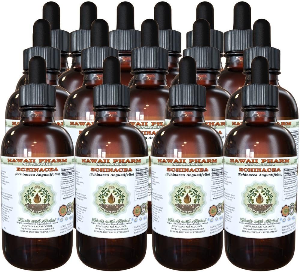 Alcohol-Free Echinacea Liquid Extract - Natural Herbal Supplement - 4 oz x 15 - Made with Echinacea Angustifolia Root Glycerite by Hawaii Pharm