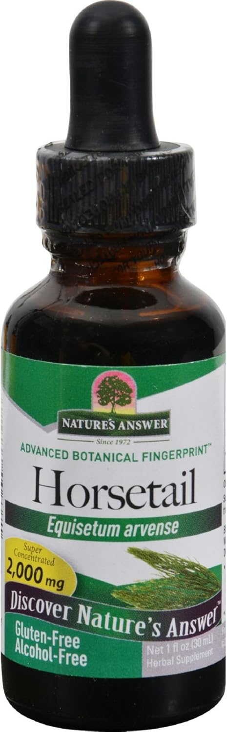 Alcohol-Free Horsetail Herb Extract 2000mg for Healthy Ligaments & Skin - Gluten-Free - 1 fl oz (Pack of 2) by Nature's Answer