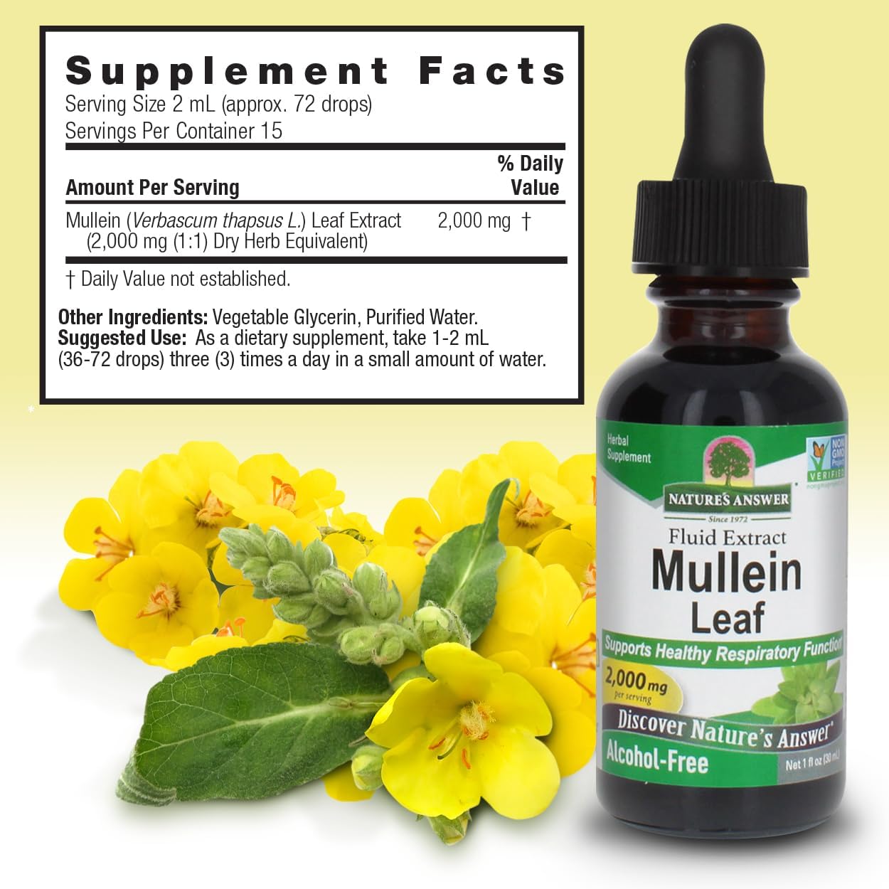 Alcohol-Free Mullein Leaf Extract Drops for Lungs, 1oz - Supports Respiratory Health, Promotes Lung Function - Non-GMO - USA Made