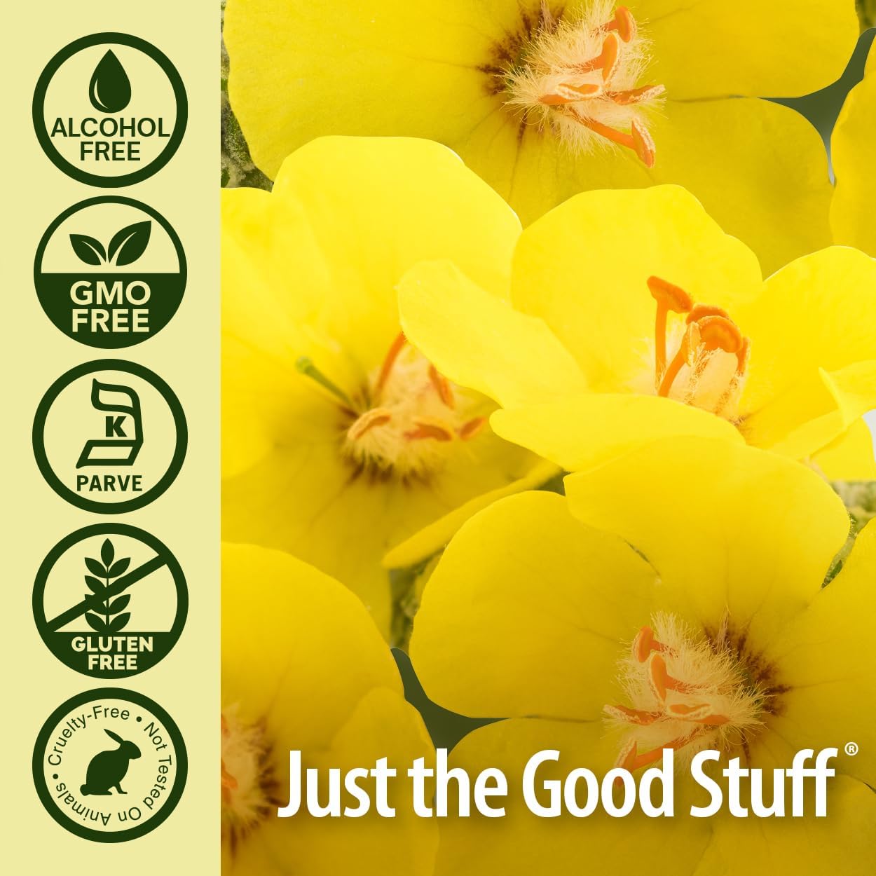 Alcohol-Free Mullein Leaf Extract Drops for Lungs, 1oz - Supports Respiratory Health, Promotes Lung Function - Non-GMO - USA Made